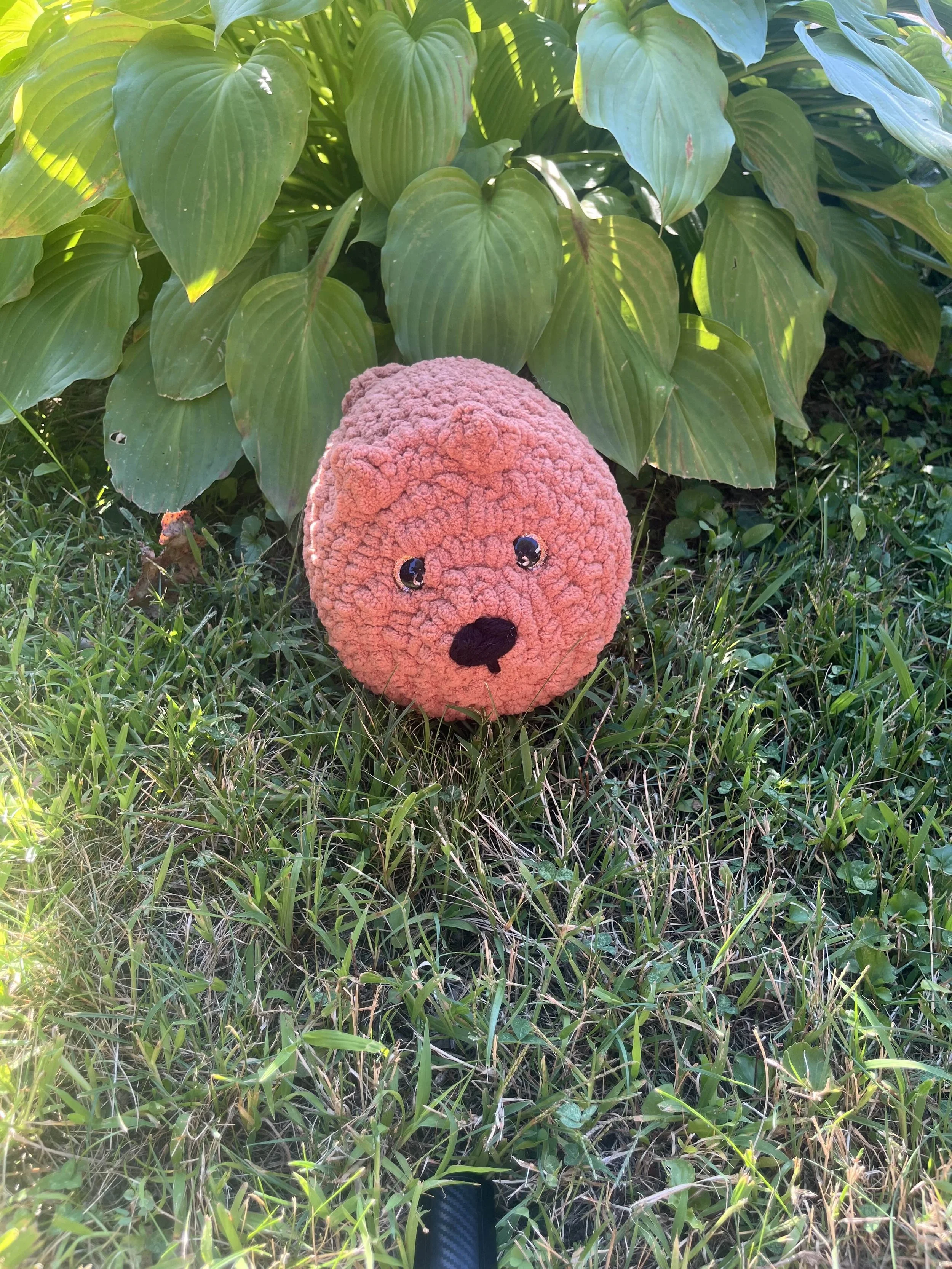 Bear Familiar