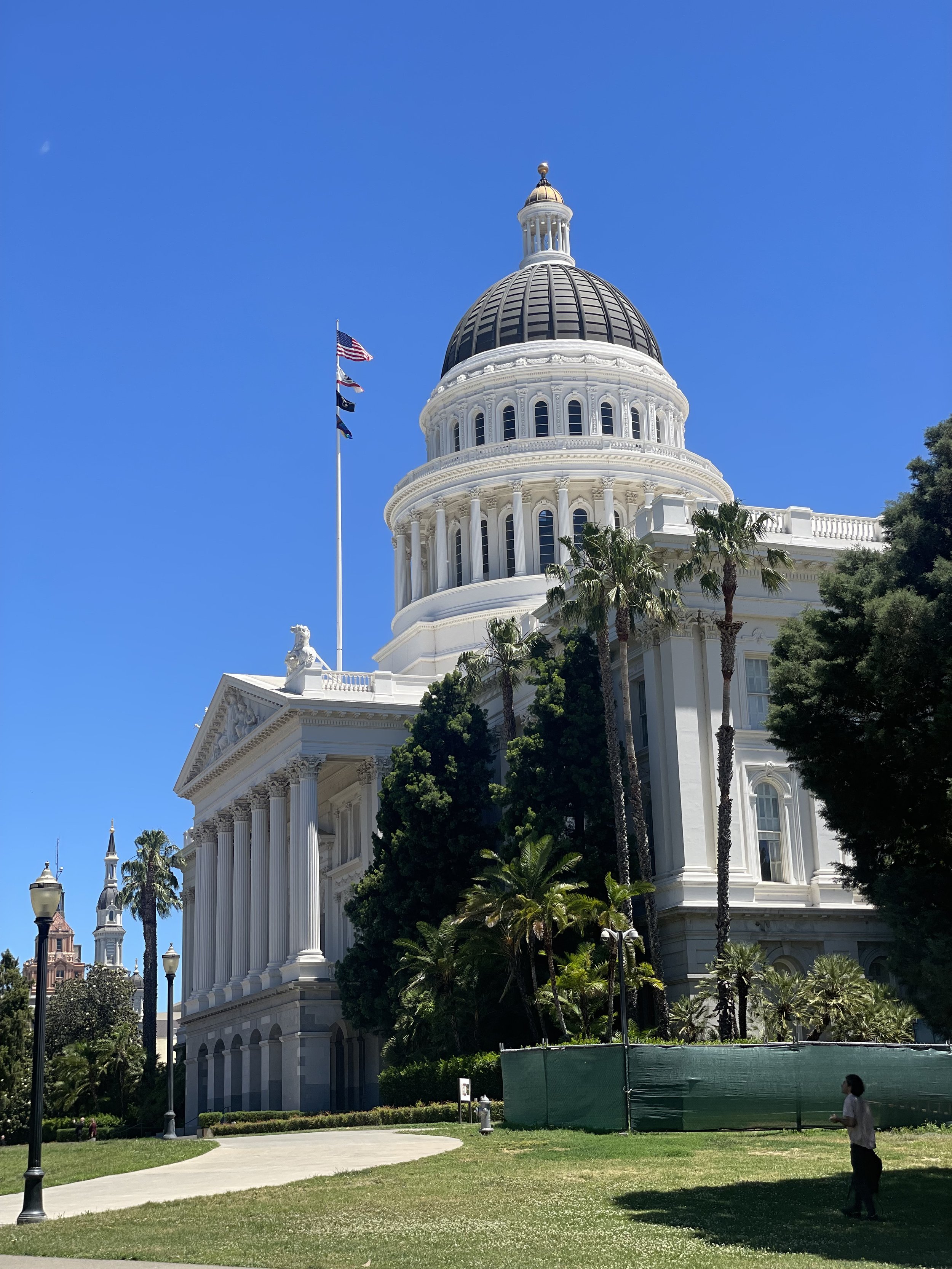 The California State Capitol building in Sacramento with a prominent dome, American flags, tall trees, clear blue sky, and a person walking on a grassy area in the foreground.