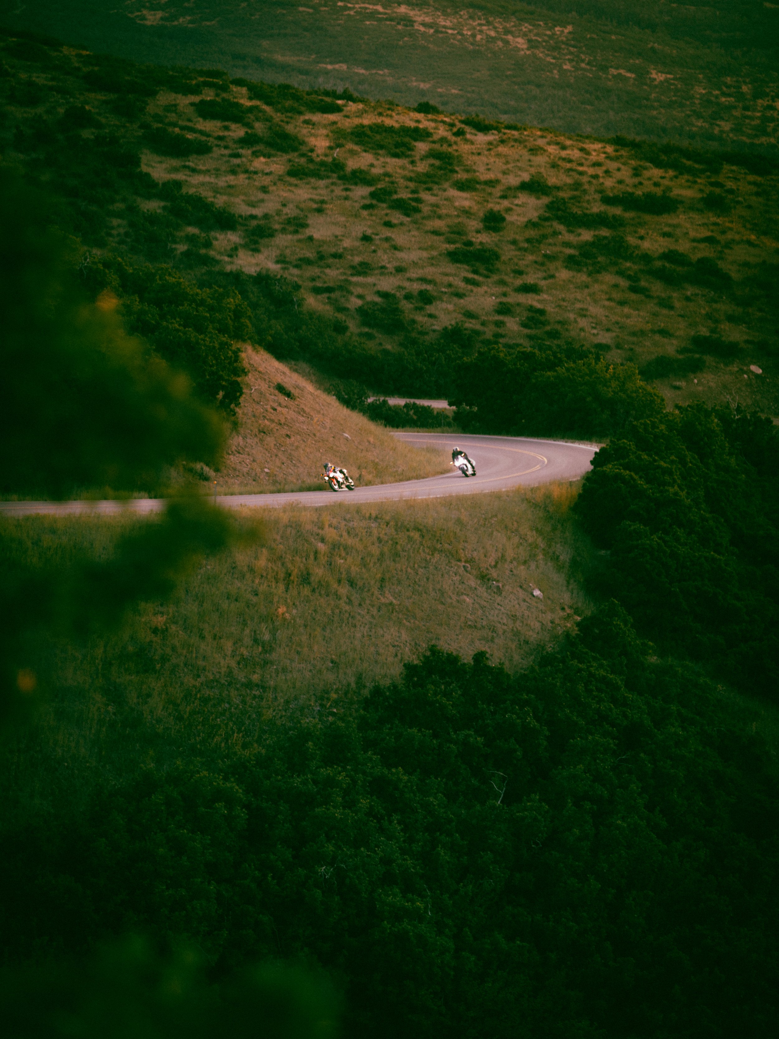 mc (5 of 18).jpg