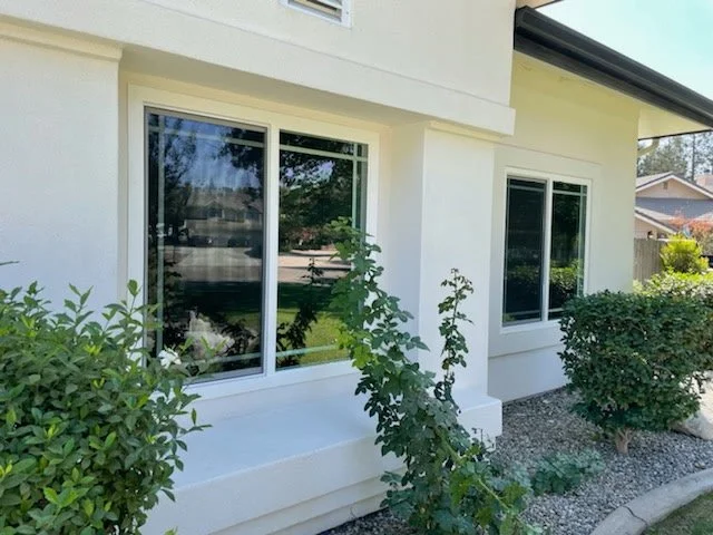 Front view of a modern house with two large windows and a small shrubbery garden in front.