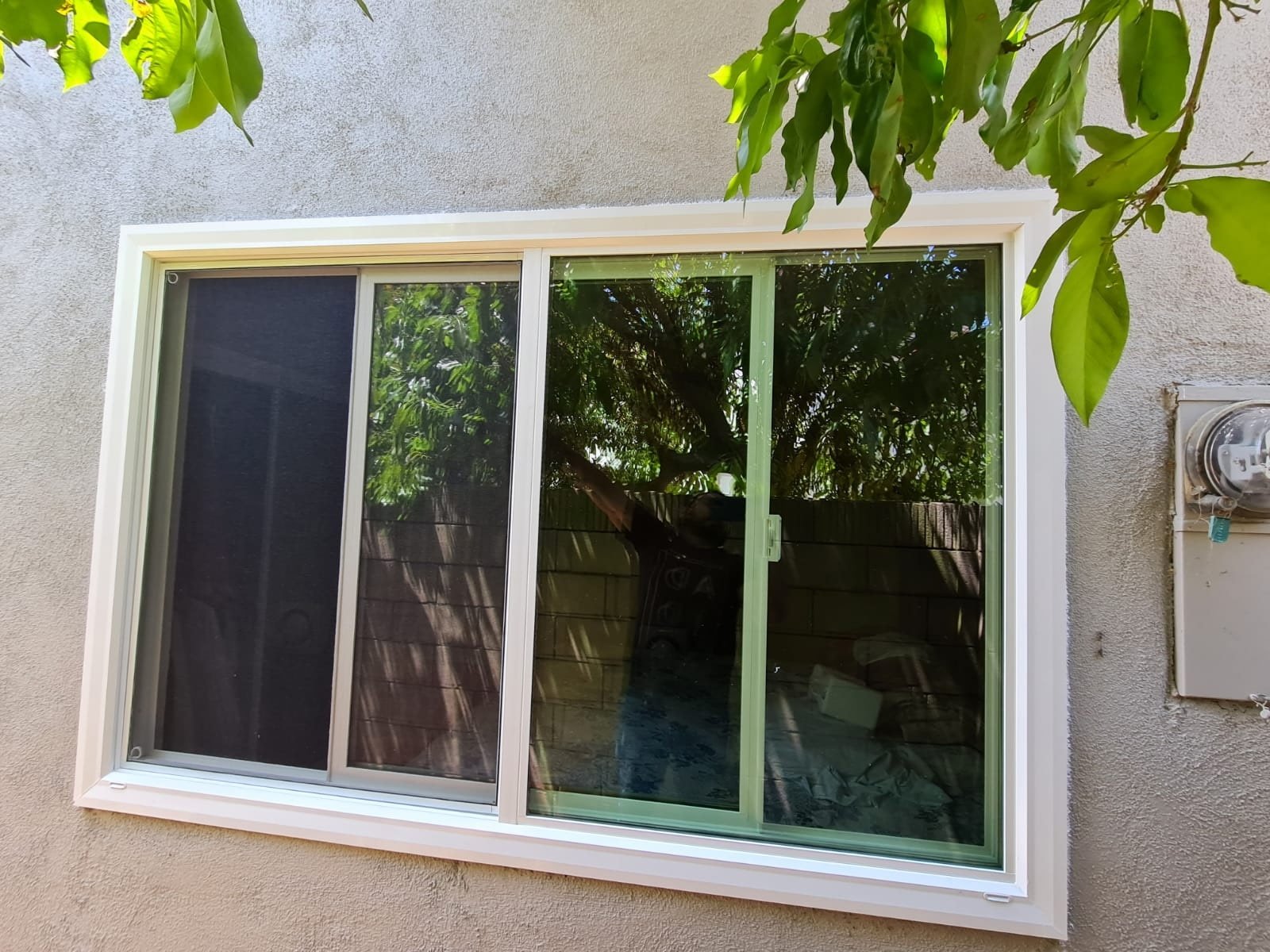 A sliding glass window with a tree visible behind it, shadows cast on the window, and a textured exterior wall of a building.