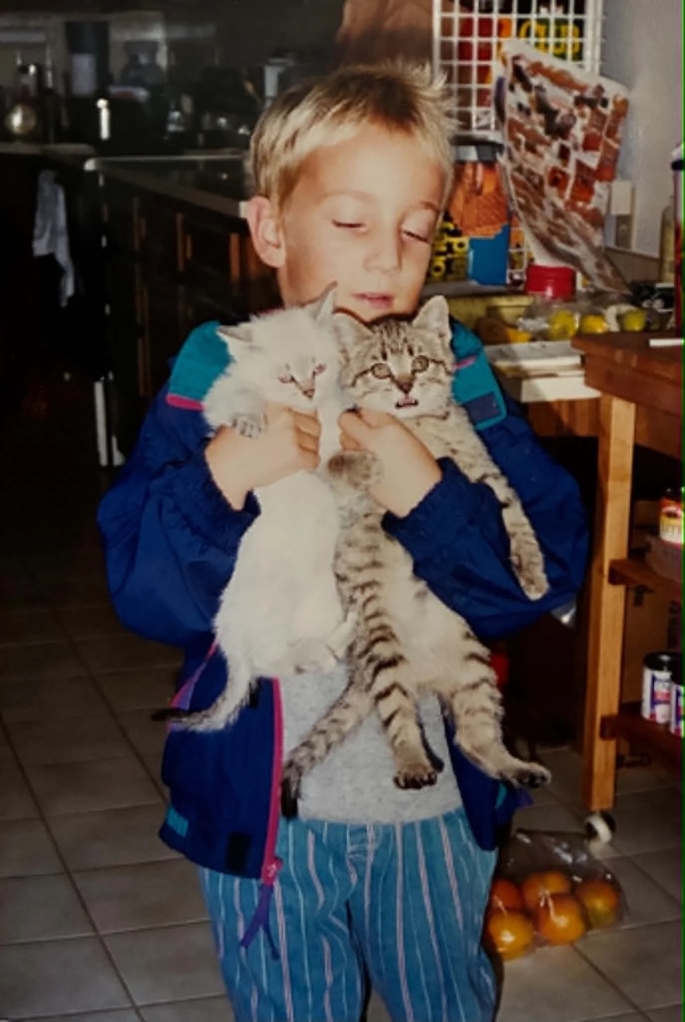 Kittens.jpeg