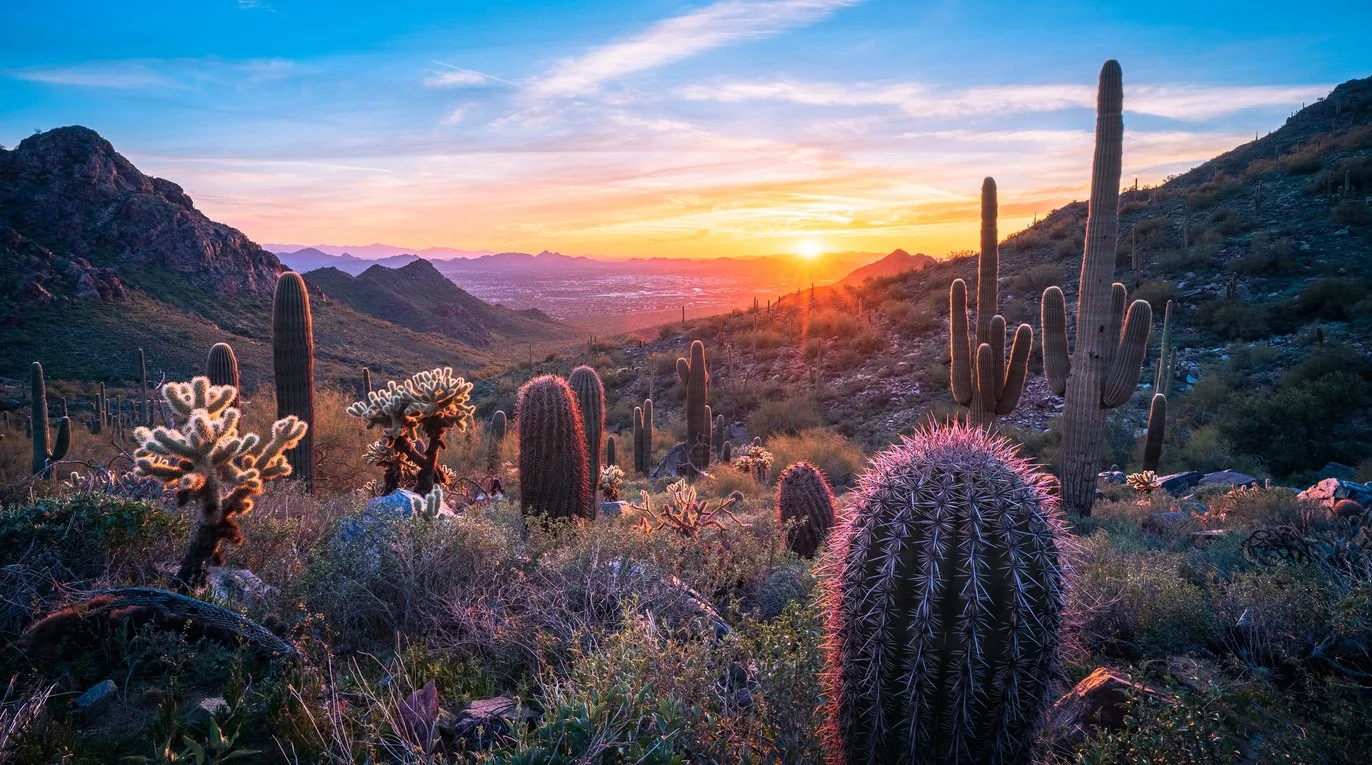Sunset over a desert landscape with cacti, mountains, and a colorful sky.