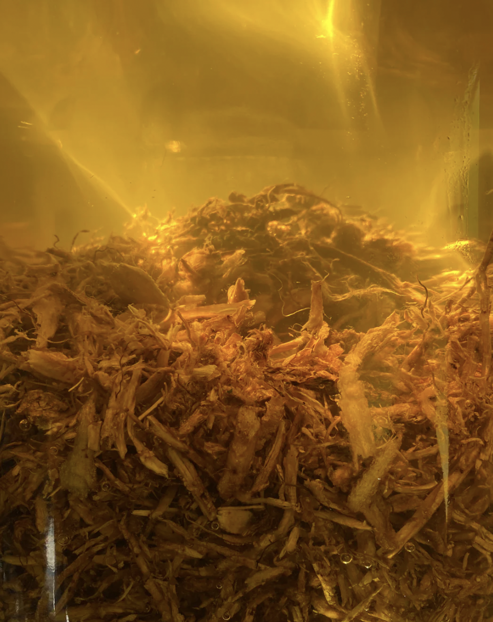 lepaar eye balm 4.png