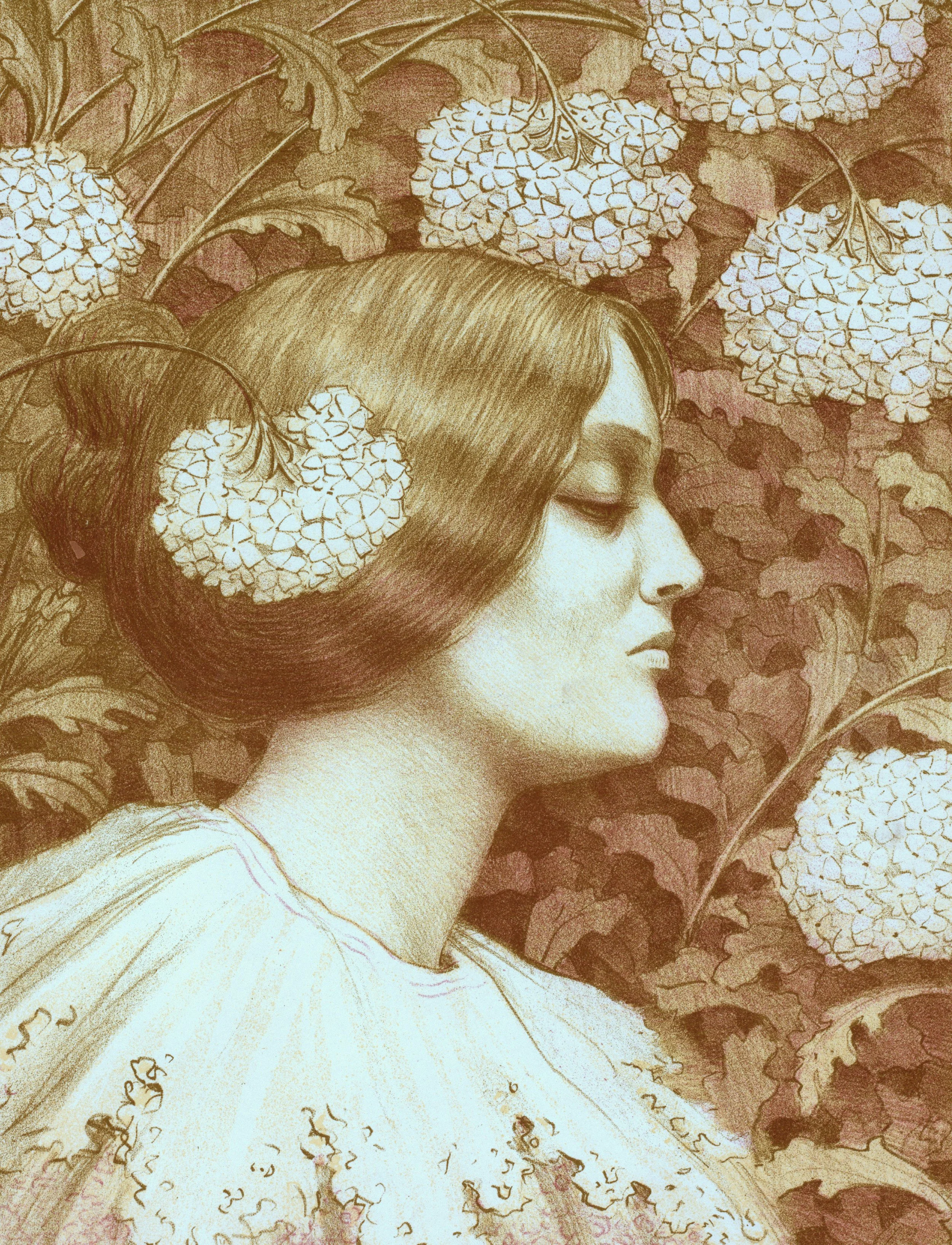 A stylized drawing of a woman's profile with flowing hair, her eyes closed, surrounded by large hydrangea flowers and foliage.