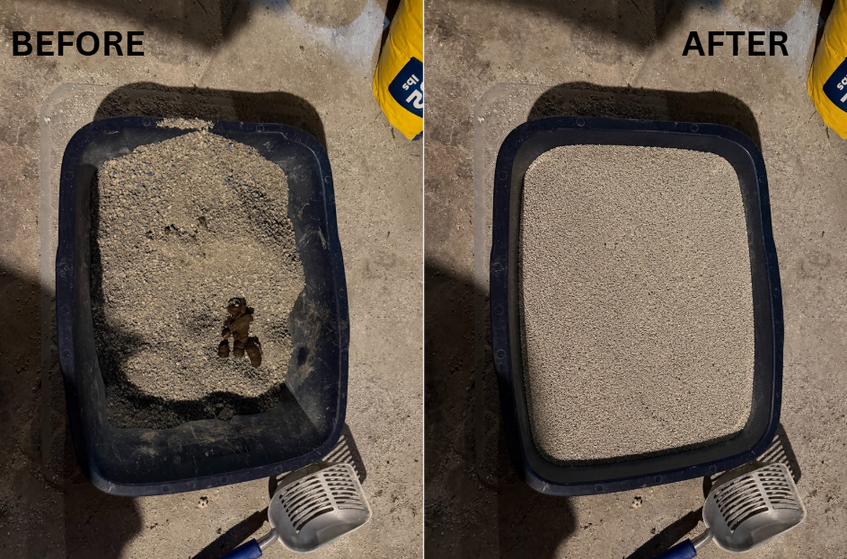 Litter Box Cleaning icon