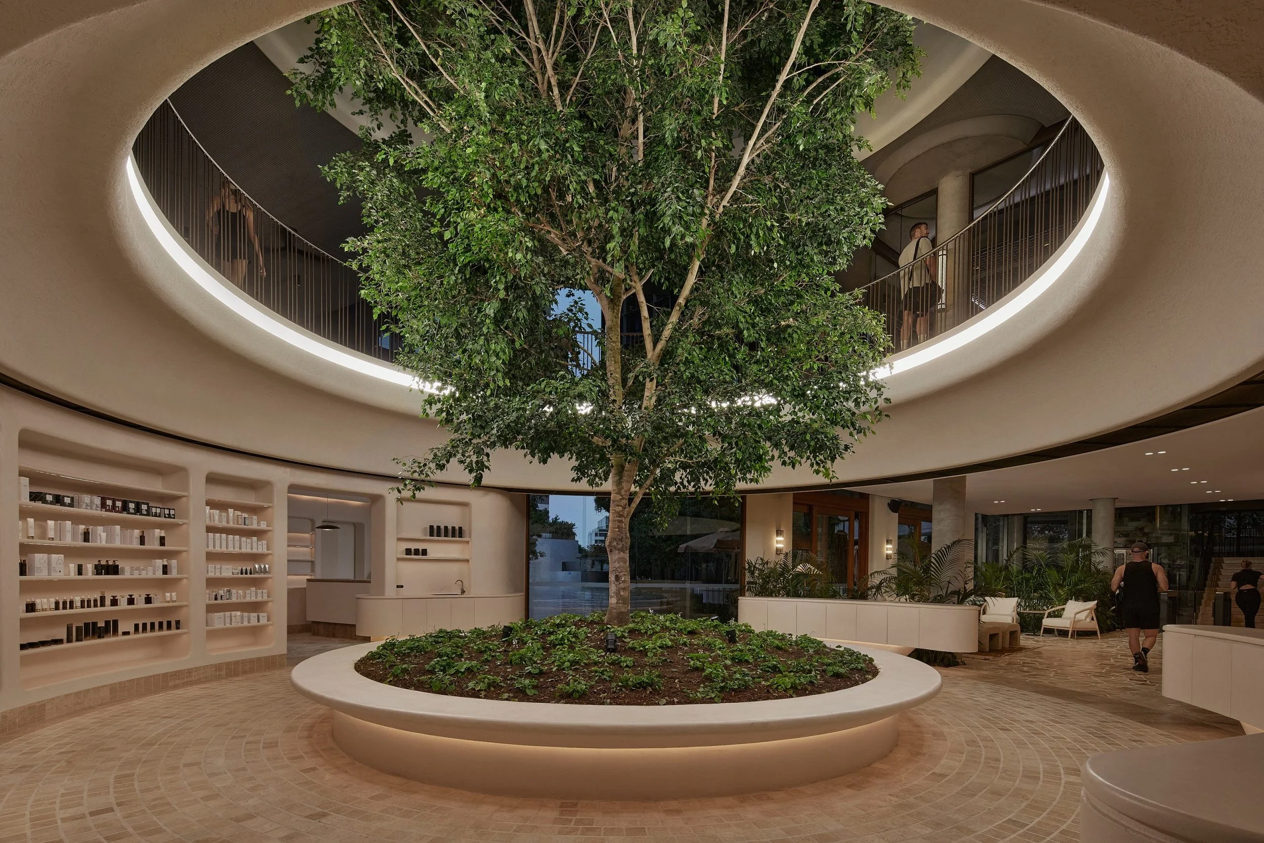 Indoor space with a large indoor tree in a circular planter in the center. The space features curved architectural elements, shelves with products on the left, and a mezzanine level with two people walking. The interior has warm lighting, modern design, and a spacious, open layout.