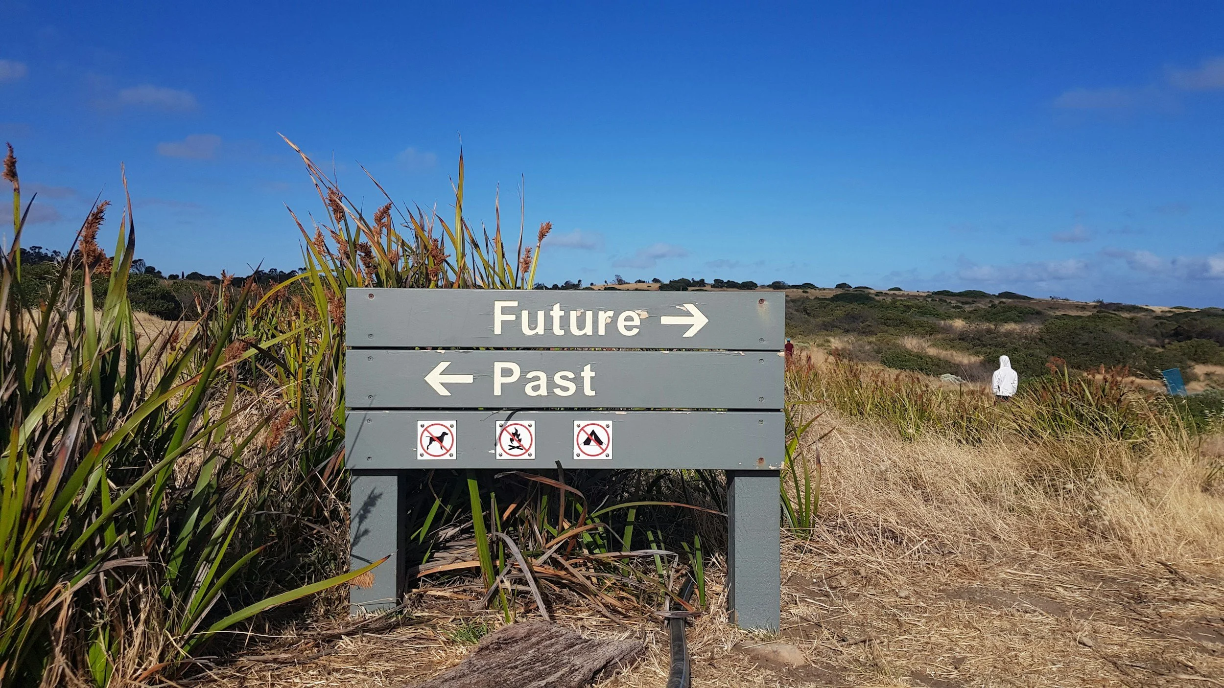 A signpost on a path showing directions to 'Future' right and 'Past' left, with icons indicating no dogs, no fires, and no camping. The sign is in a grassy, hilly landscape with a blue sky.
