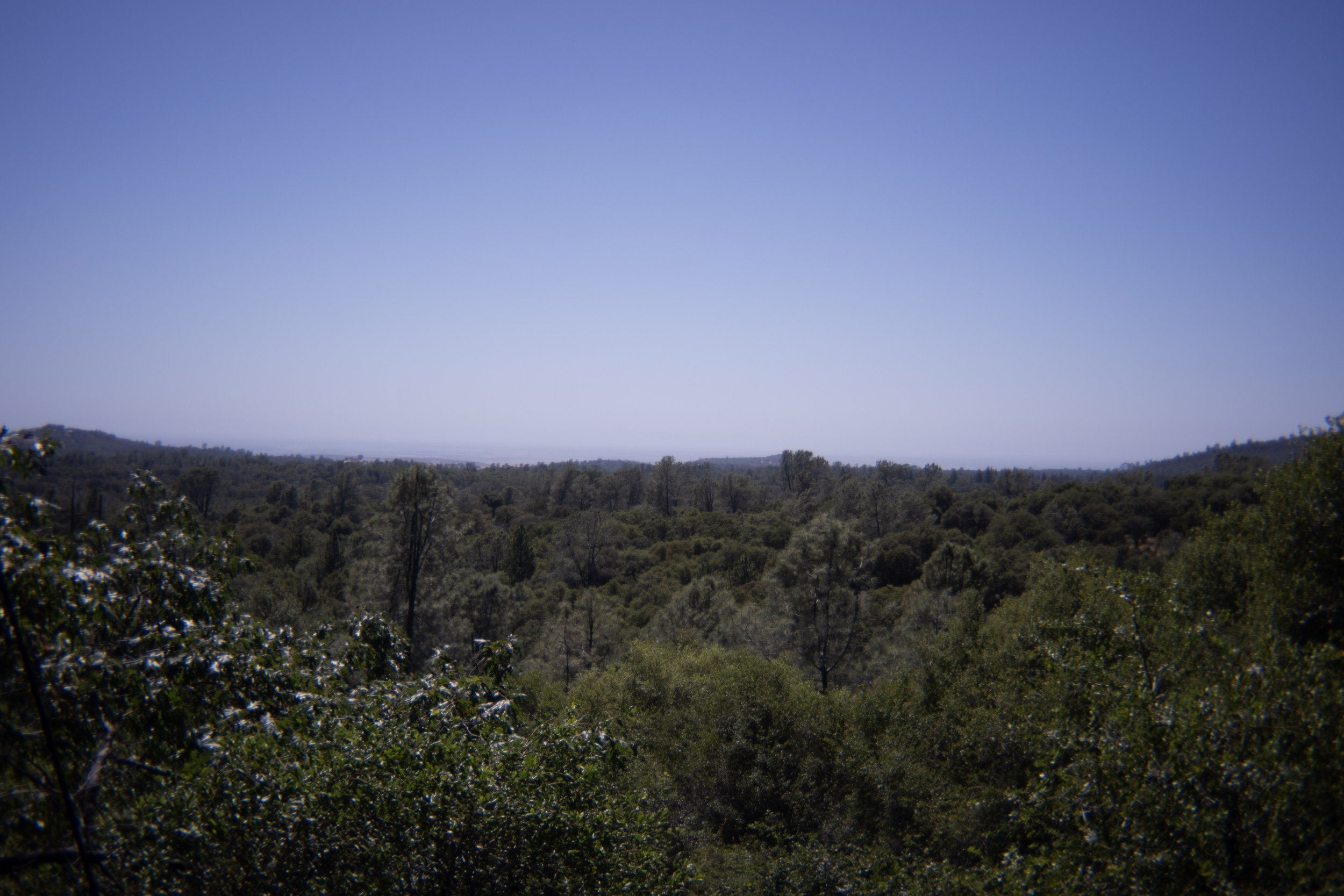 Scenic view of rolling hills covered in green trees under a clear blue sky.