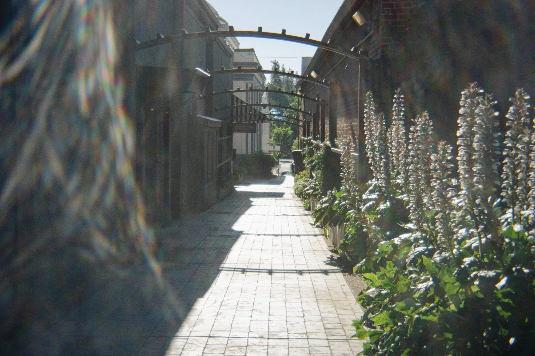 DSC00461-2.jpg