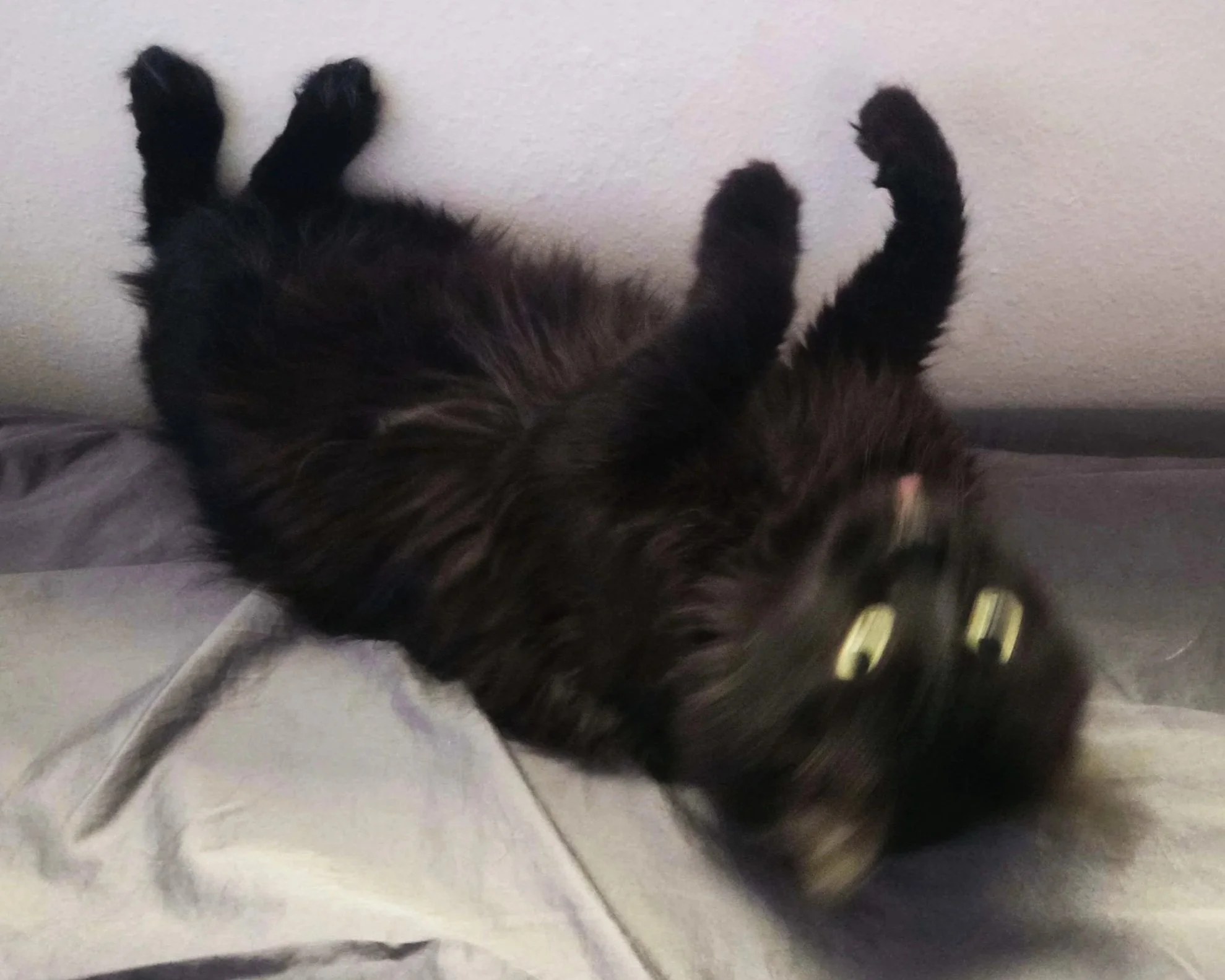 20250619_185212.jpg