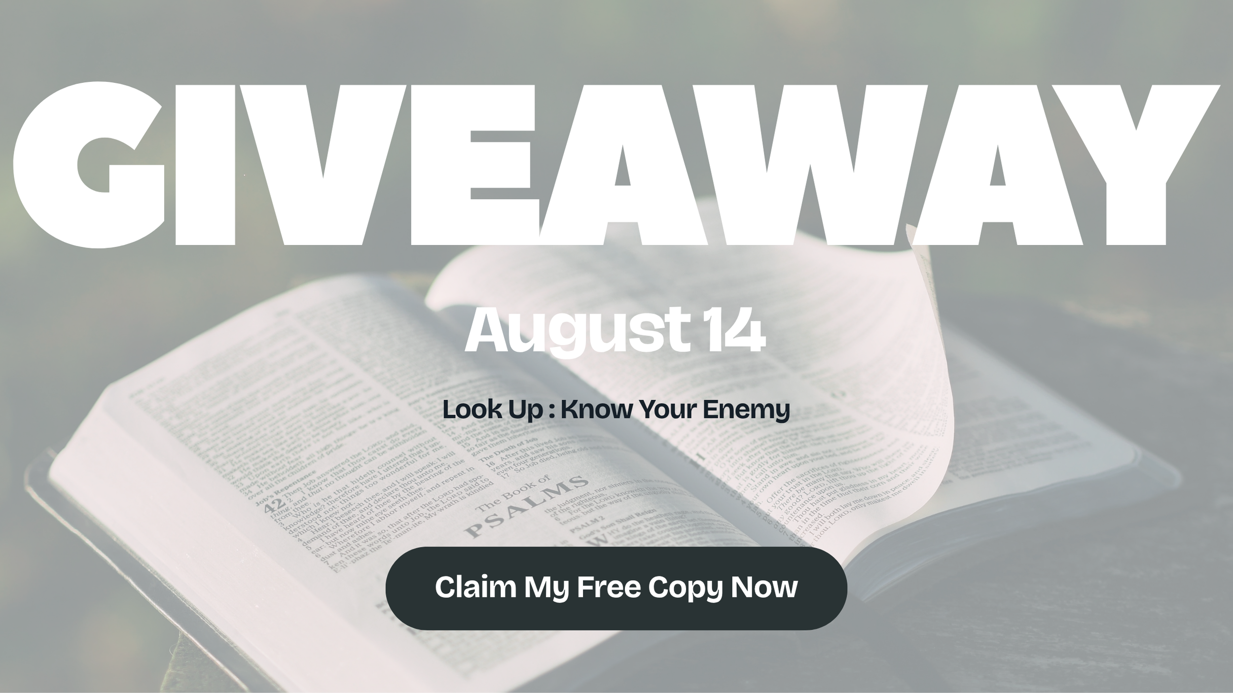Book Giveaway