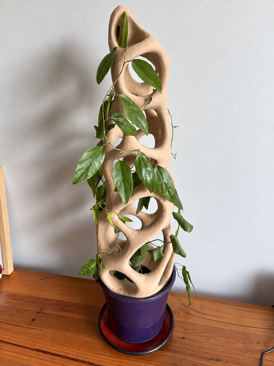 plant use.png