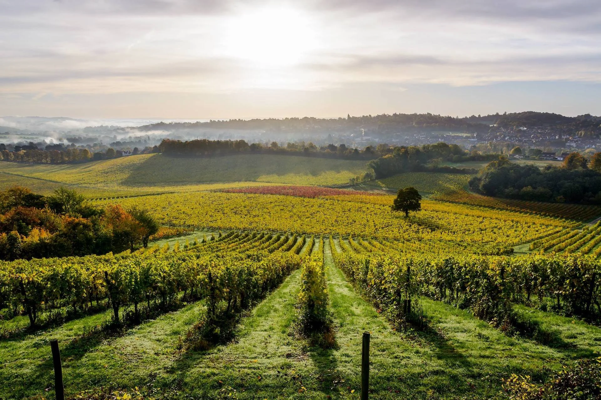 Hottest 5 Surrey Locations London buyers are choosing in 2026