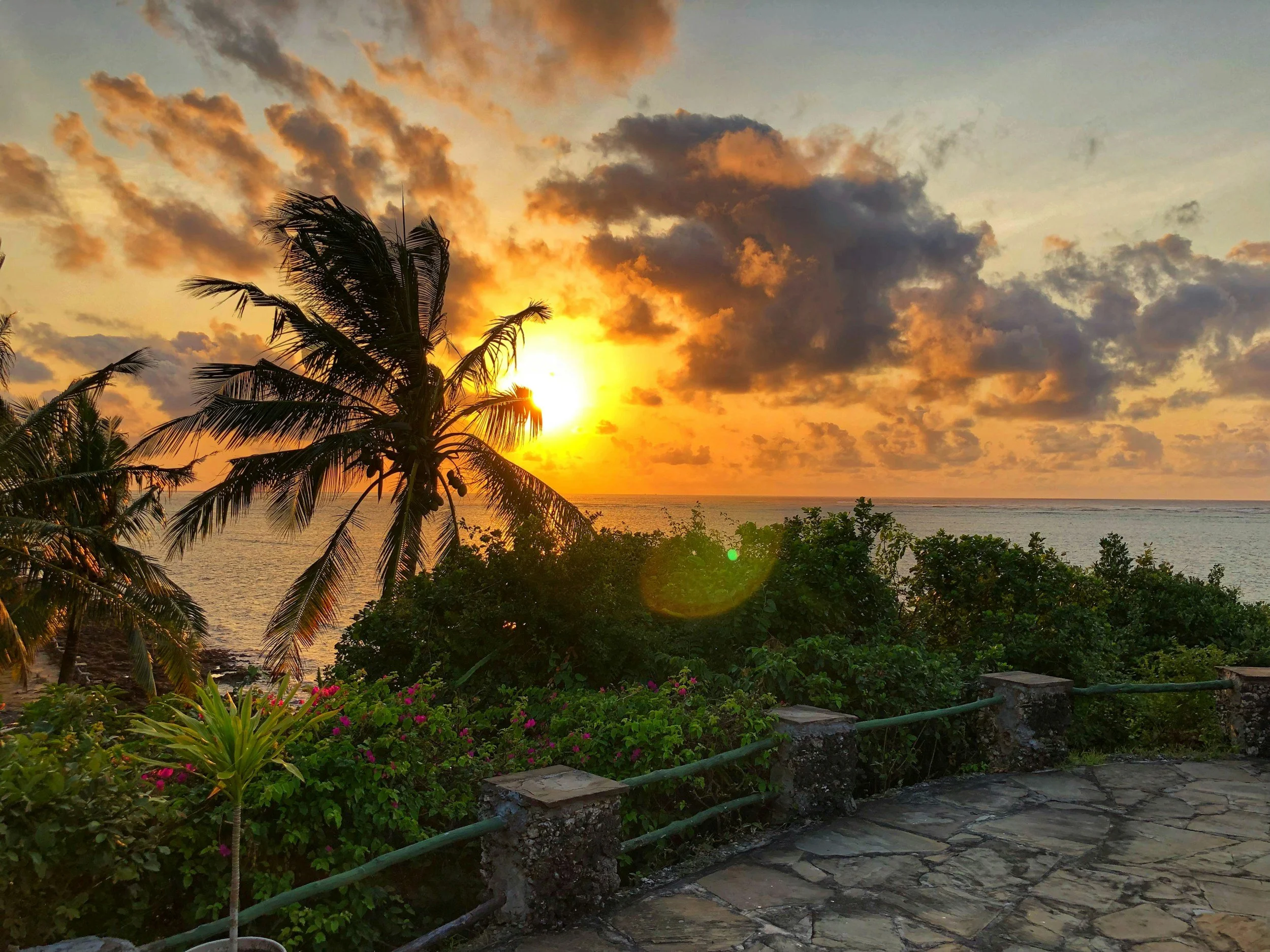 Sunset over the ocean with silhouetted palm trees and lush greenery in the foreground.