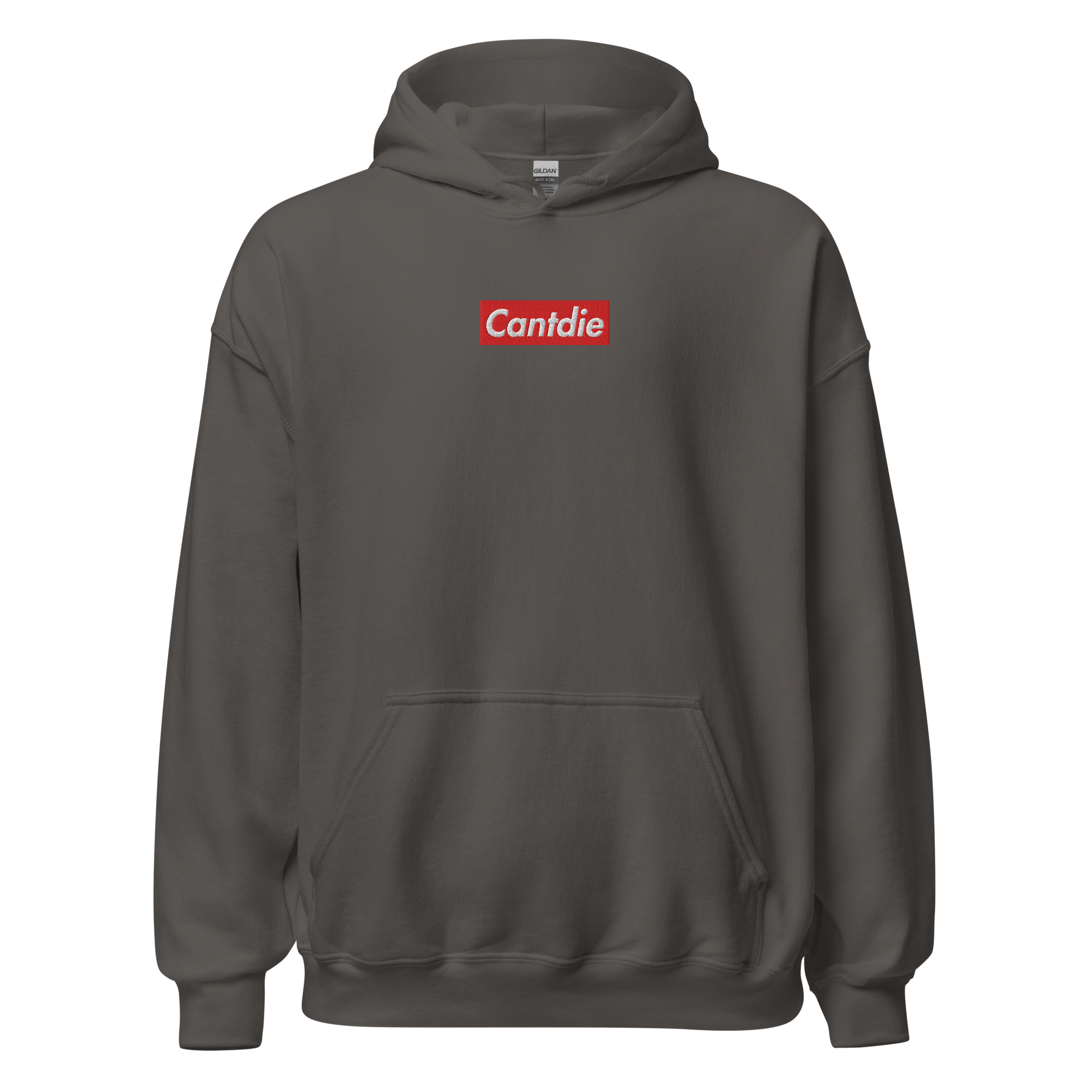 unisex-heavy-blend-hoodie-charcoal-front-6a718829b6403.png