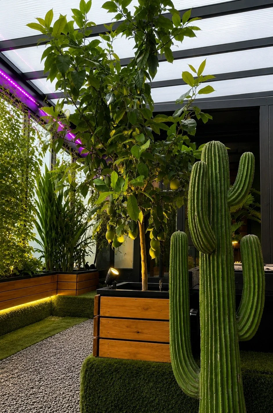 020_verdarium_cactus-and-grow-lighting.jpg