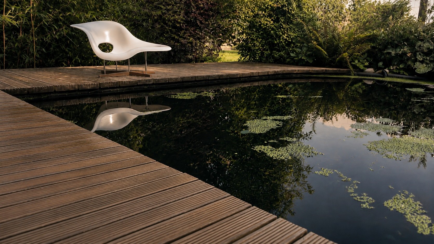 015_ponds_swimming-pond-edge-detail.jpg