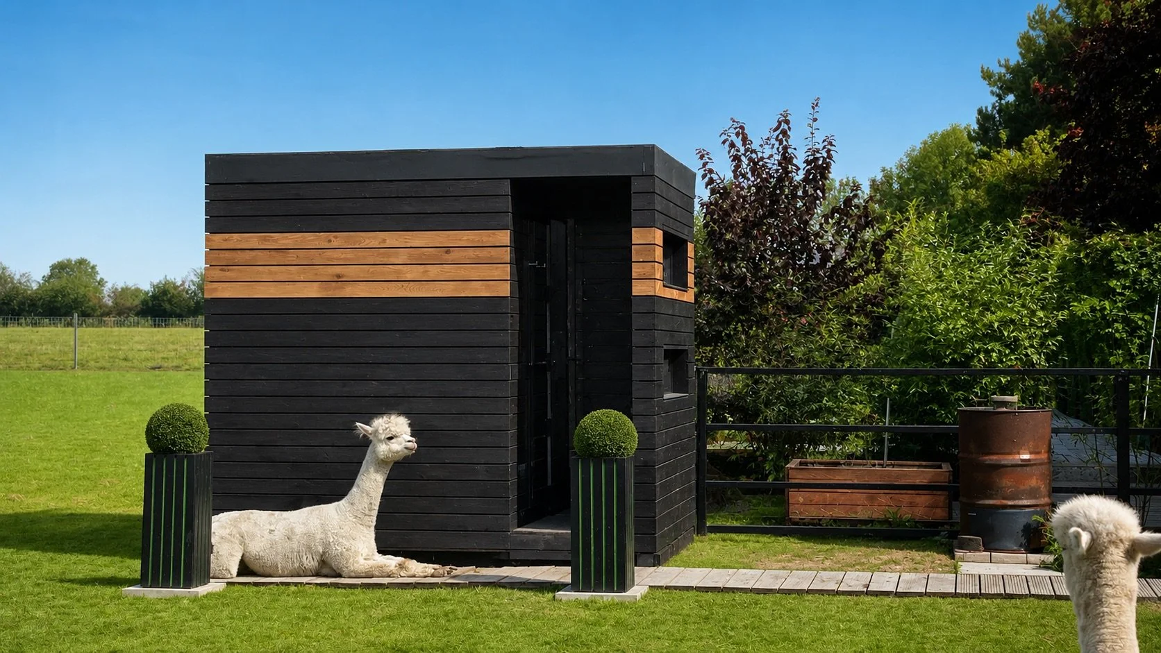 Even our Alpacas love the outdoor shower