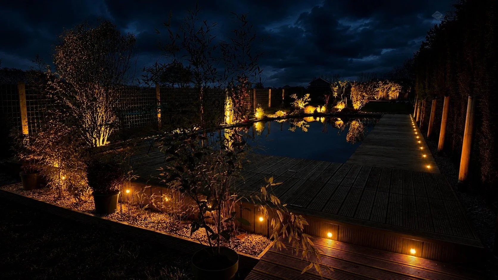 013_ponds_water-garden-at-night.jpg