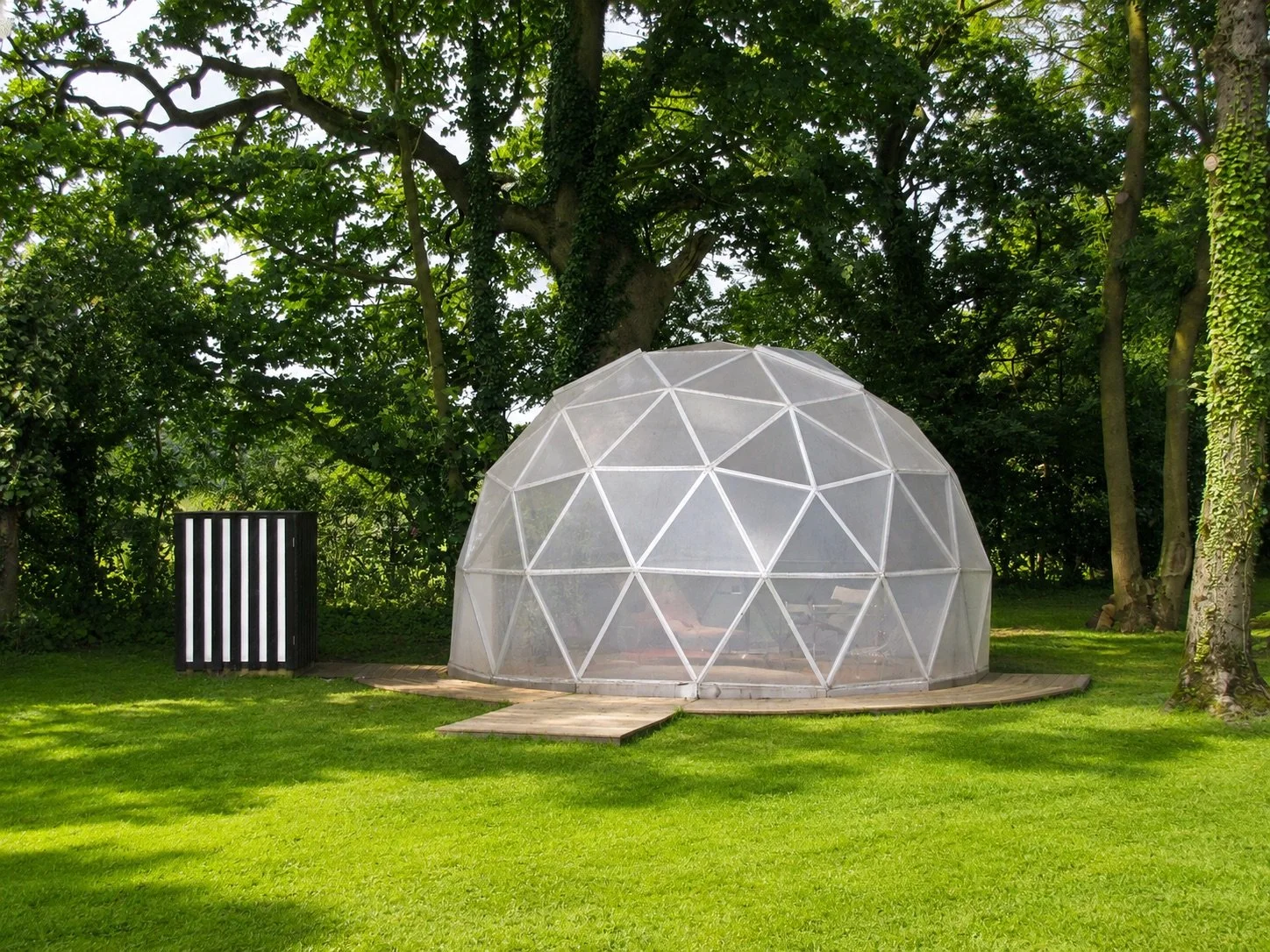 Transparent geodesic dome on a circular timber deck, set in a sunlit woodland clearing surrounded by mature trees.