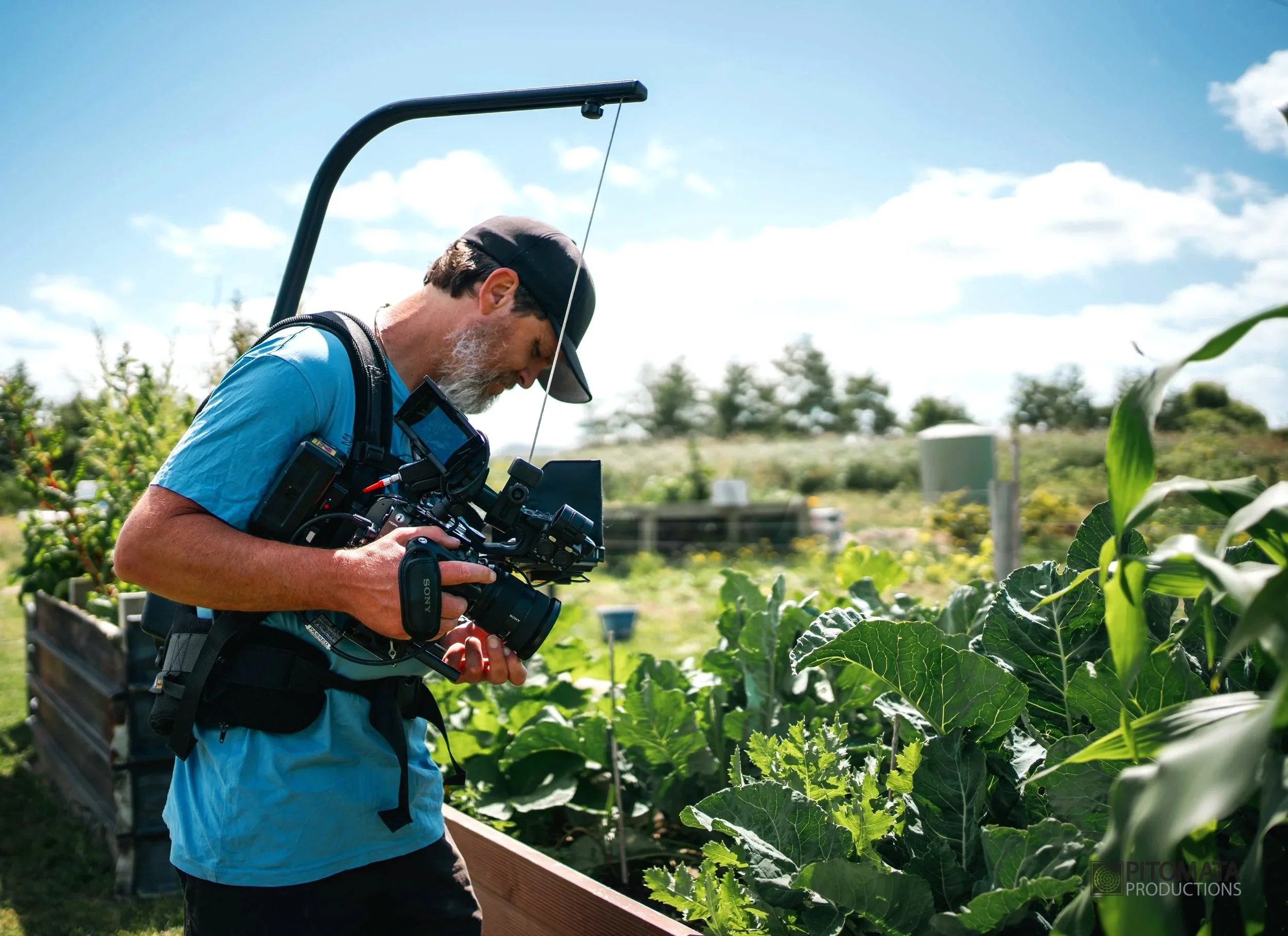 A man with a beard wearing a cap and blue shirt is operating a professional video camera on his shoulder while examining plants in a garden or farm under a clear blue sky.