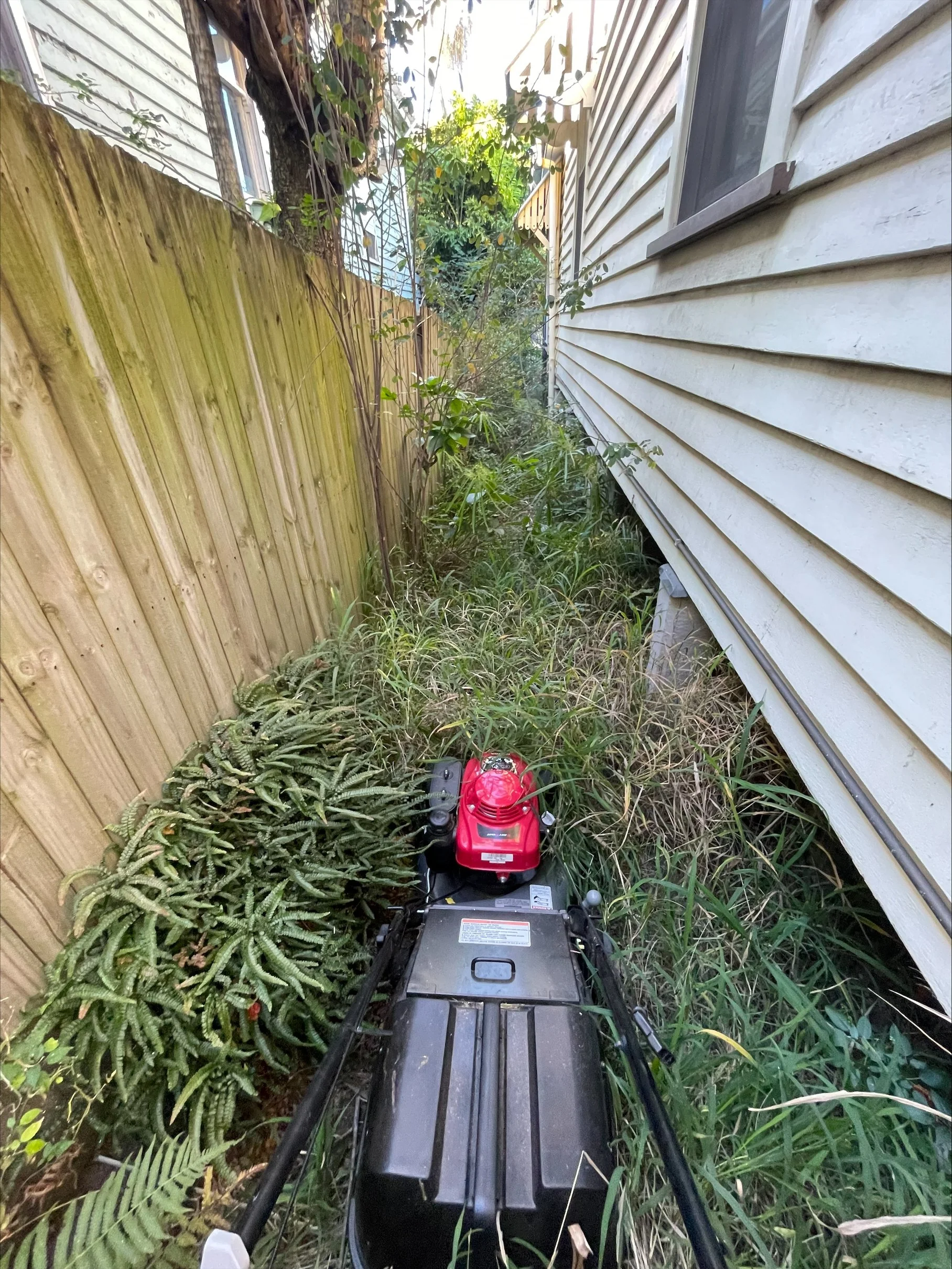 Overgrown Lawn Mowing