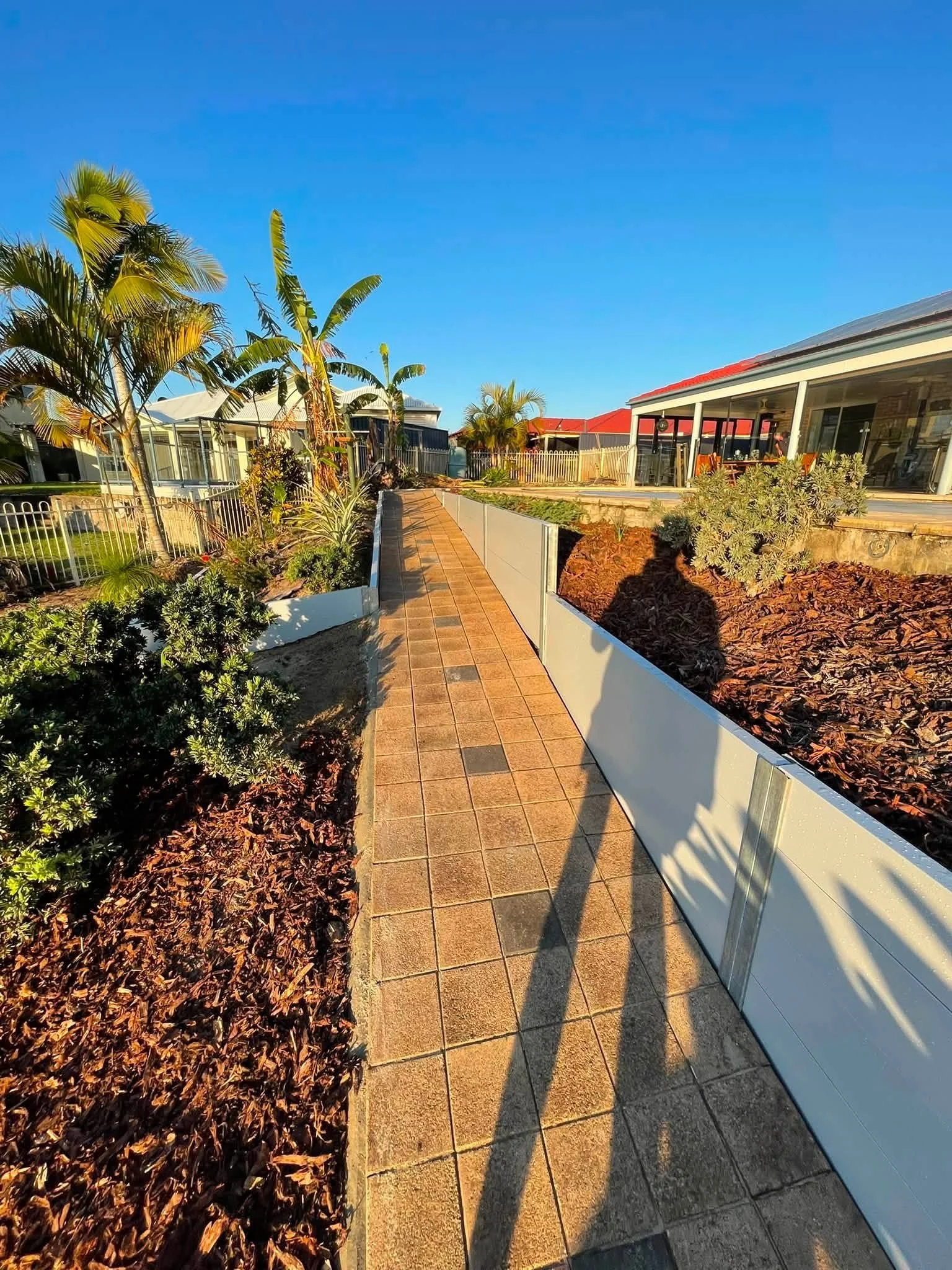 Sunlit backyard walkway with plants and modern house with large windows and outdoor patio.
