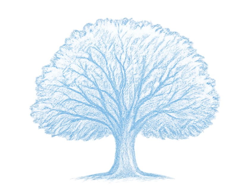 OakMind Psychology and Wellbeing Logo. Blue sketch of a large tree with detailed branches and a thick trunk, set against a white background.
