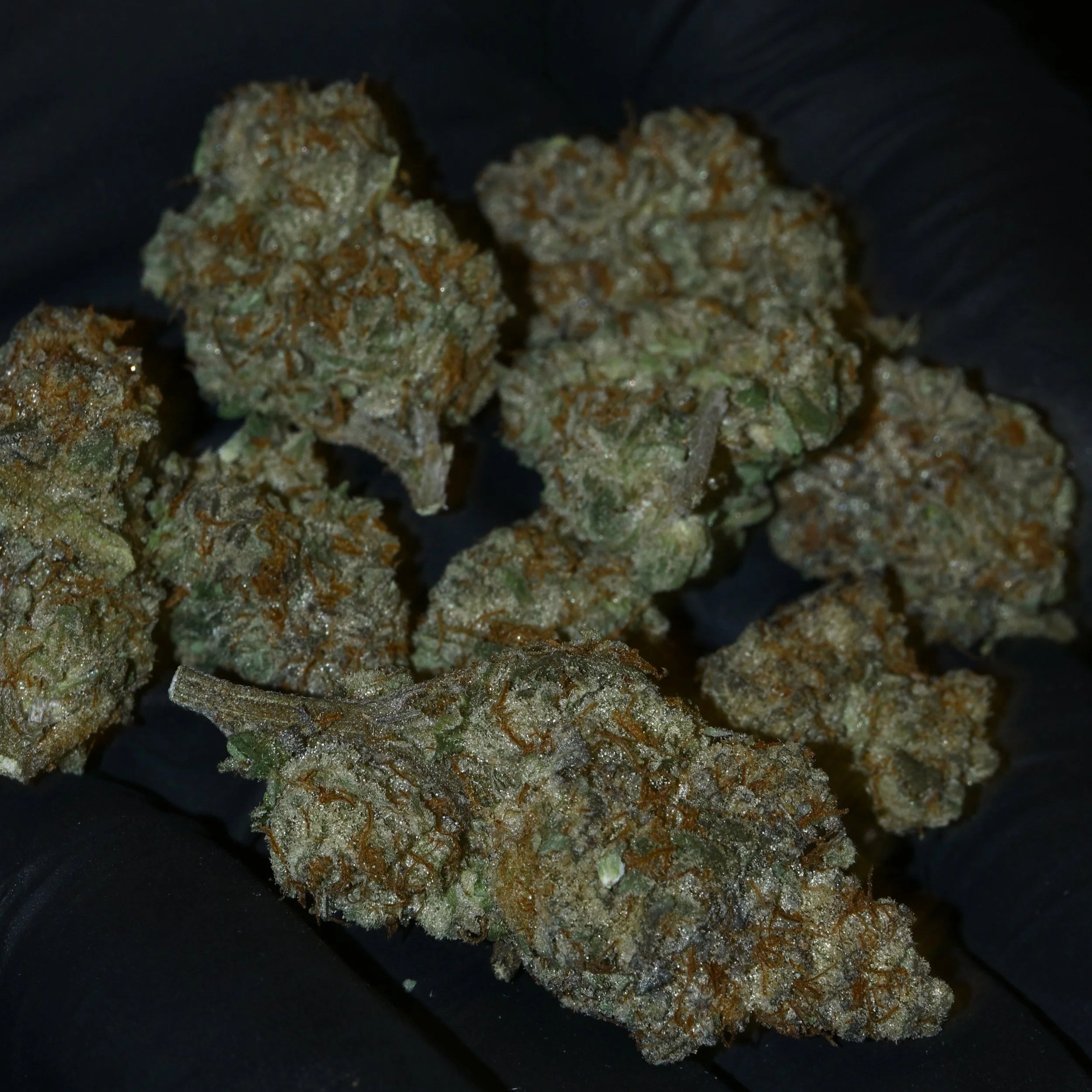 Close-up of cannabis buds with visible trichomes, orange pistils, and green leaves on a dark background.
