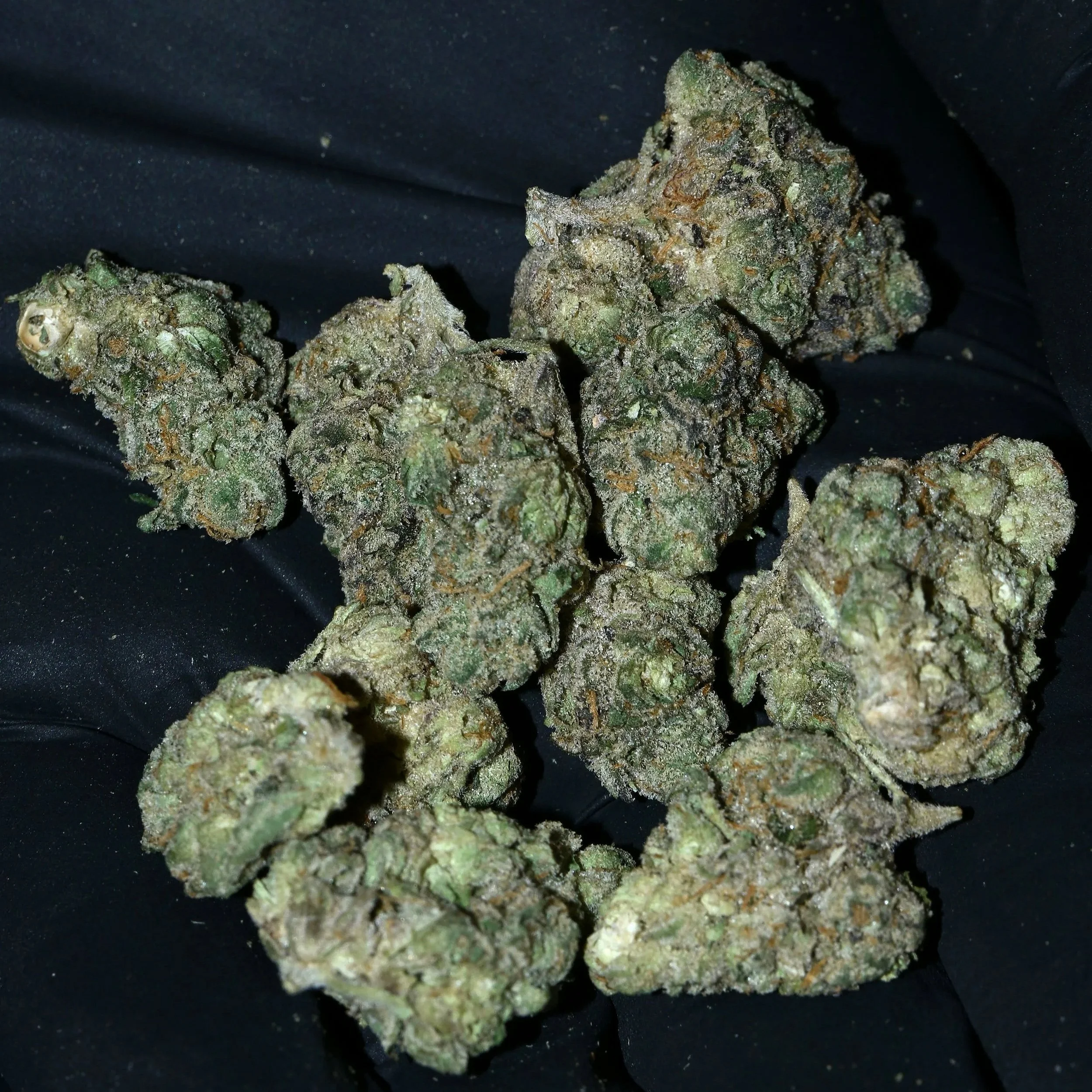 Close-up of multiple cannabis buds with green and purple hues, covered in trichomes, on a black background.