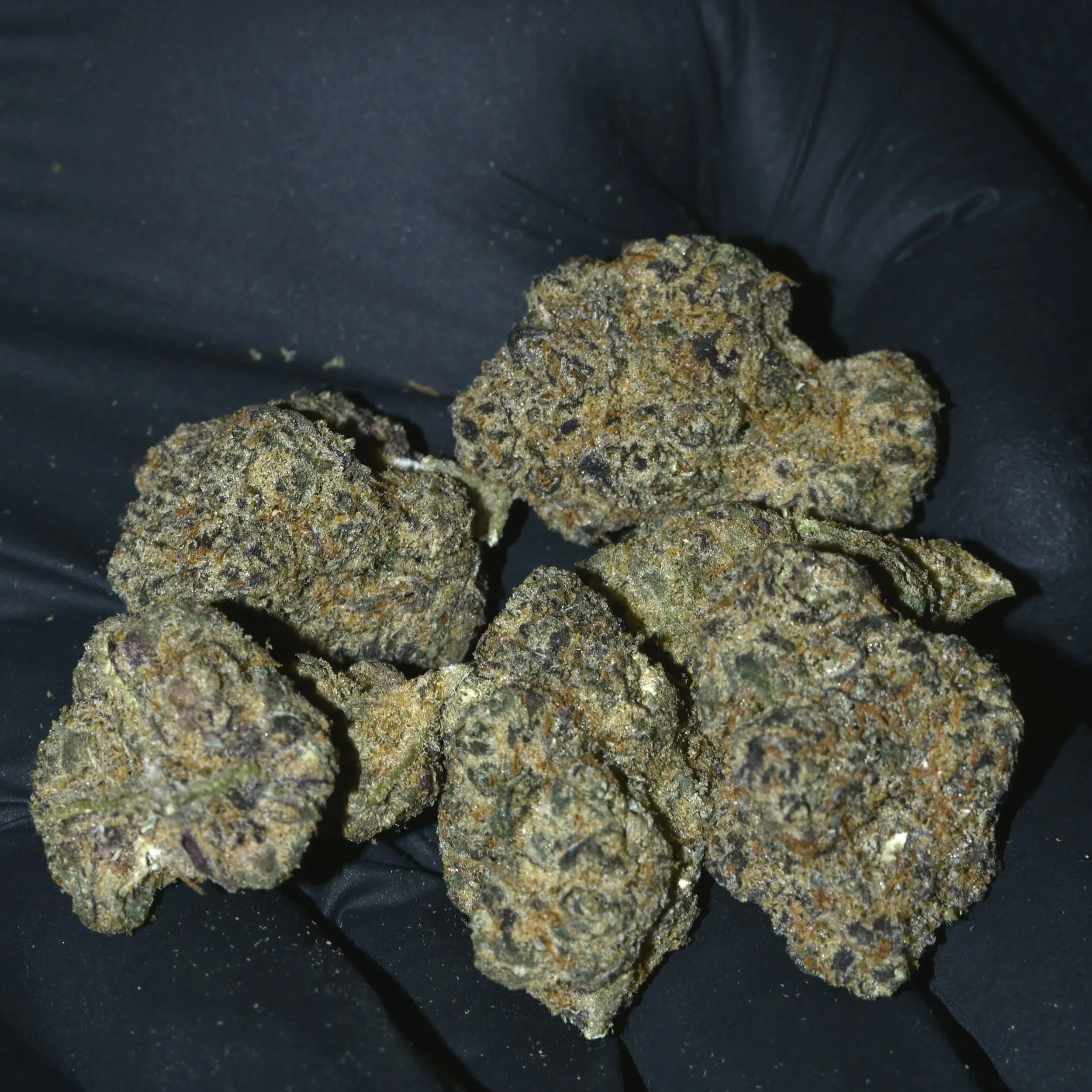 Close-up of cannabis buds with a black background.
