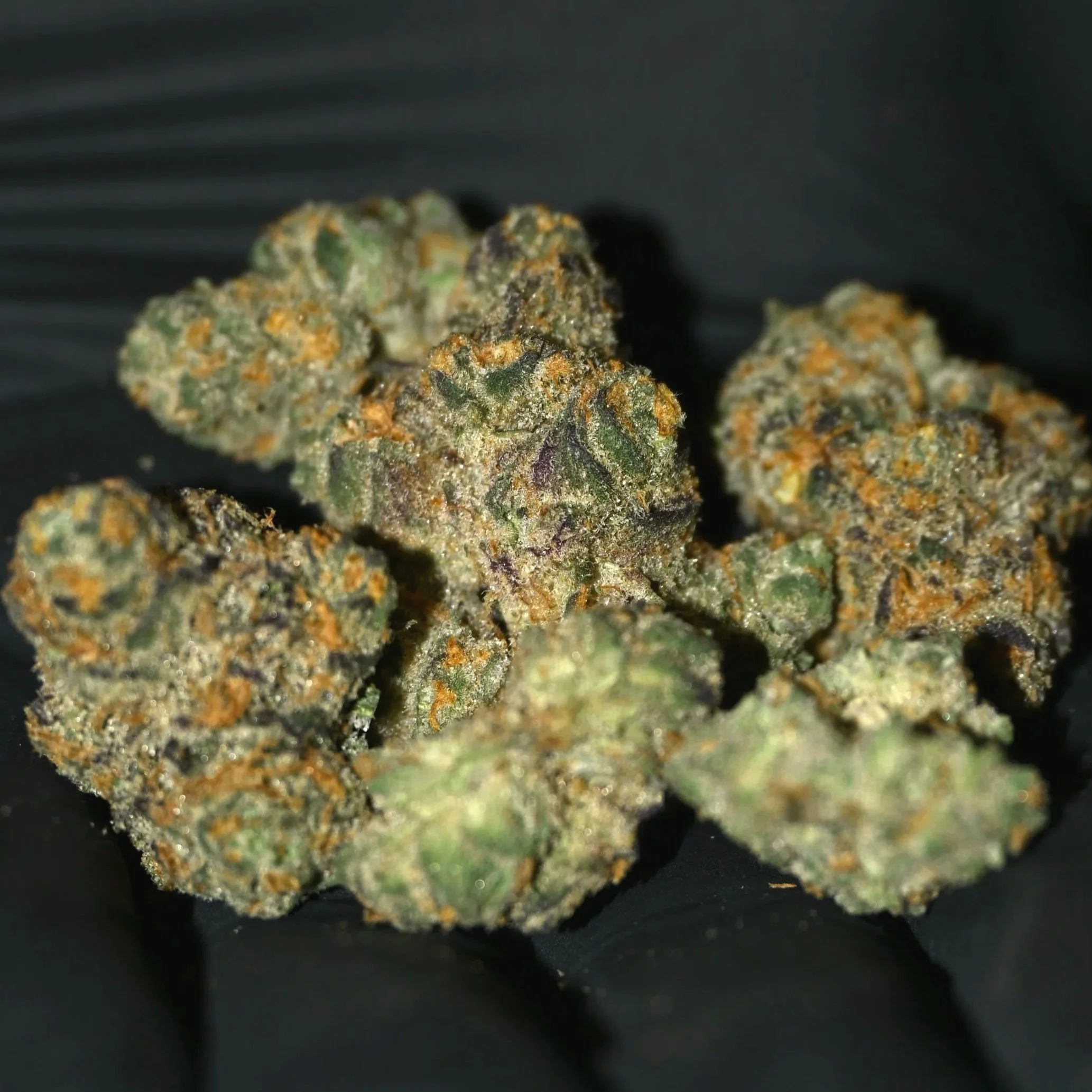 Close-up of cannabis buds with green and orange hues against a black background.