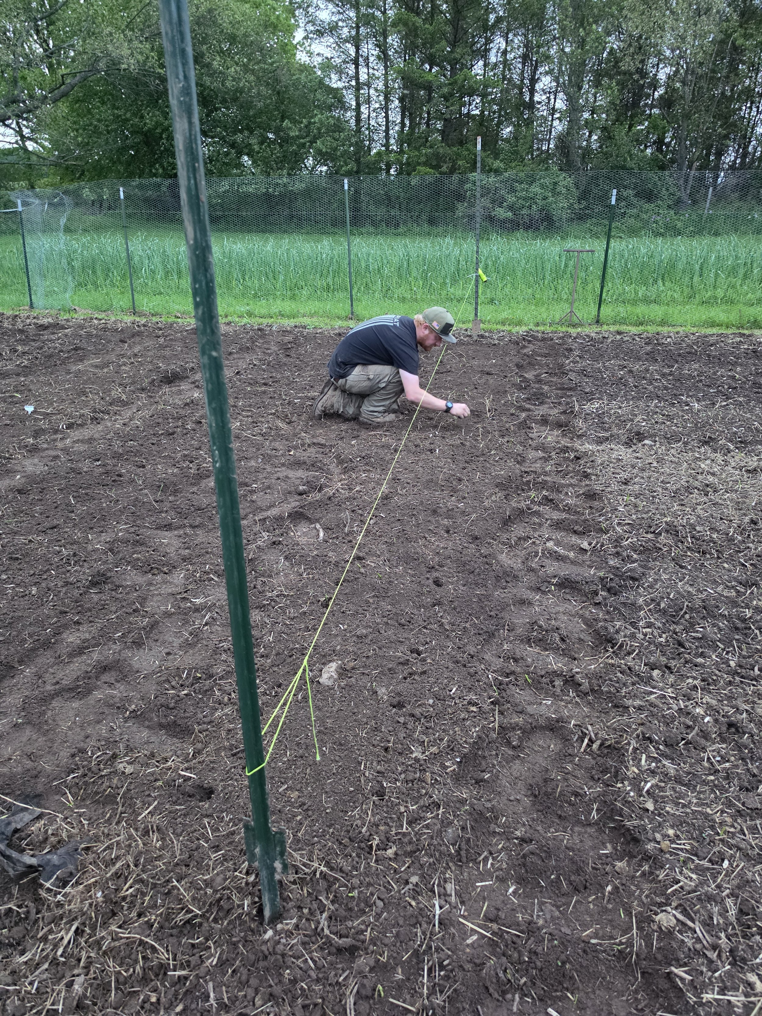 Person kneeling on the dirt ground with a measuring tape, surrounded by green trees and grass, and a fence in the background.