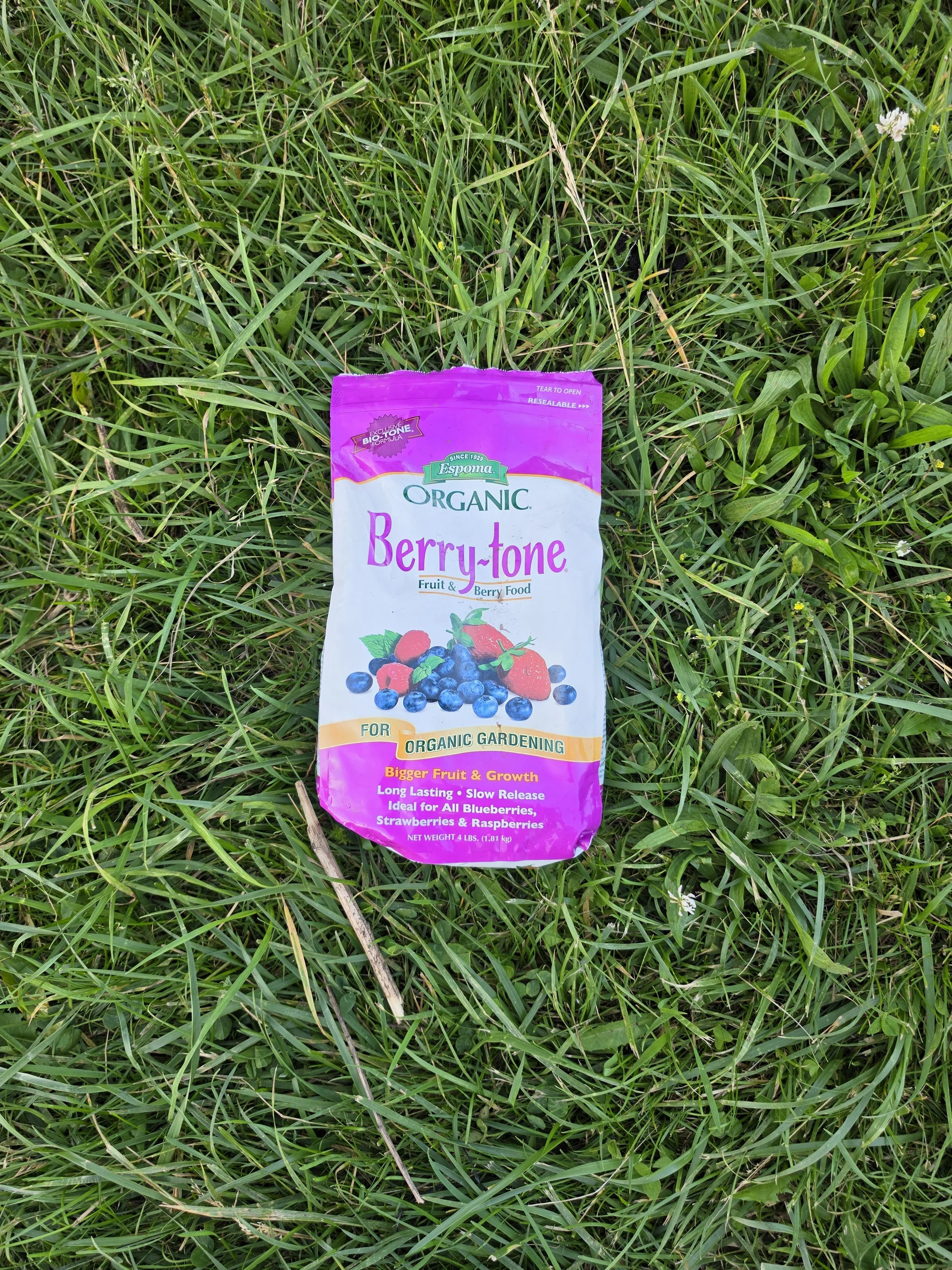 A bag of Espoma organic berry-tone fertilizer lying on green grass.