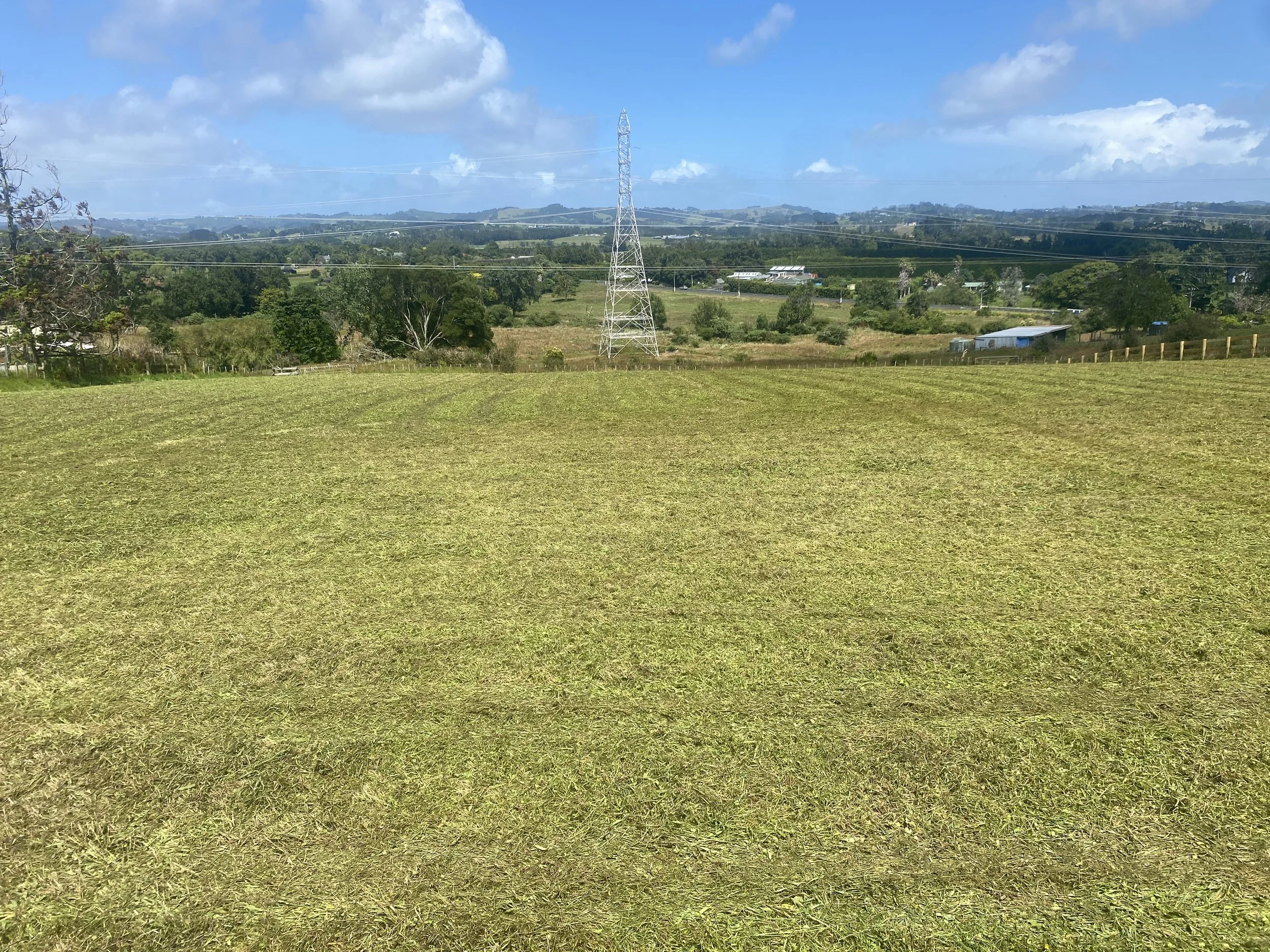 Vacant section mowing Taupaki