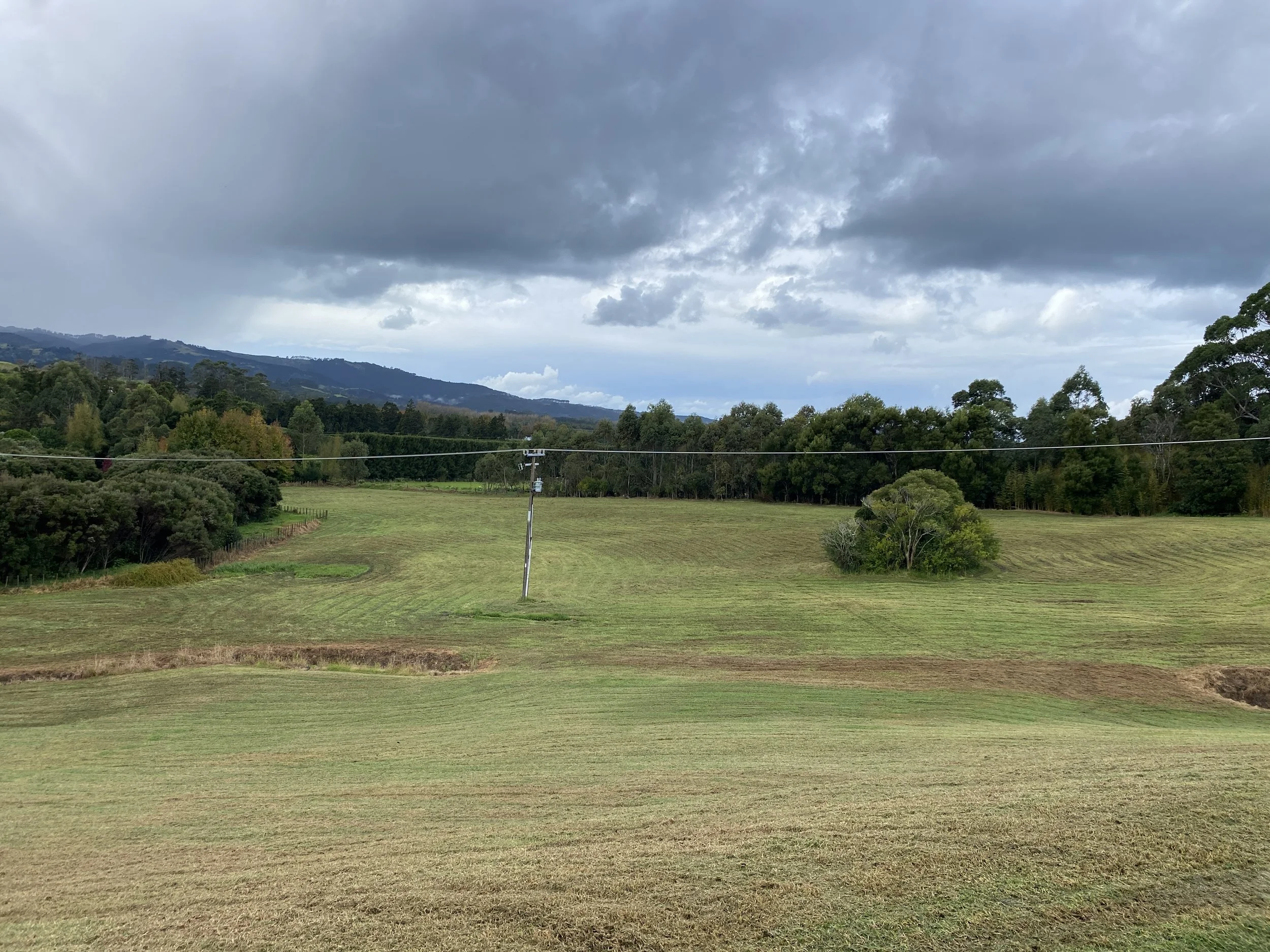 Section and Paddock mowing in Matakana