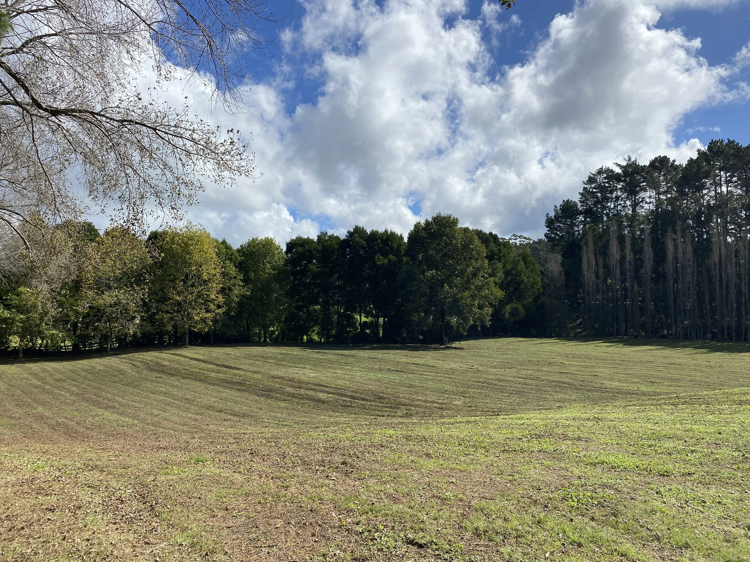 4-Acre Section mow in Coatesville