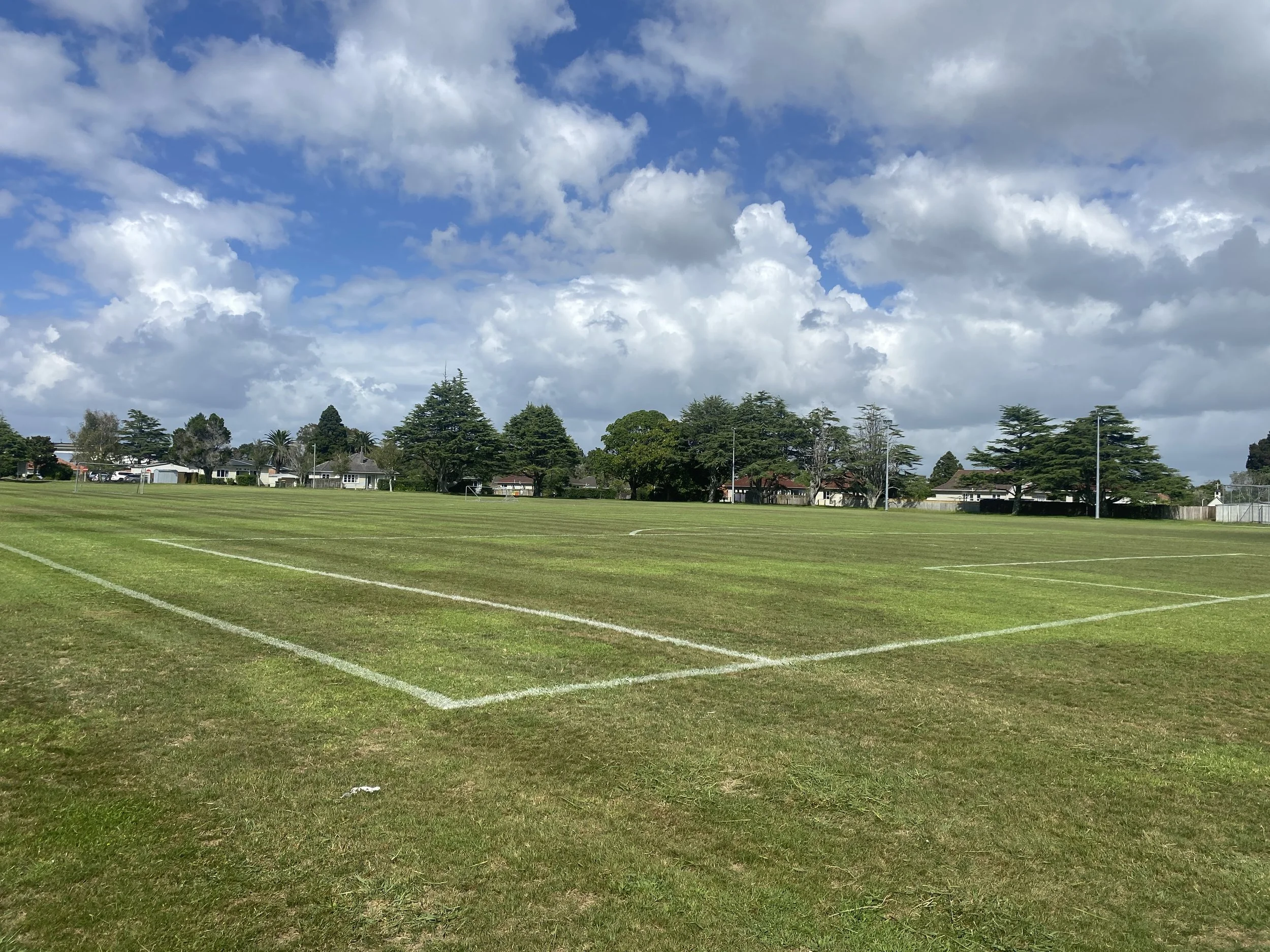 Sportsfield Mowing in Whenuapai