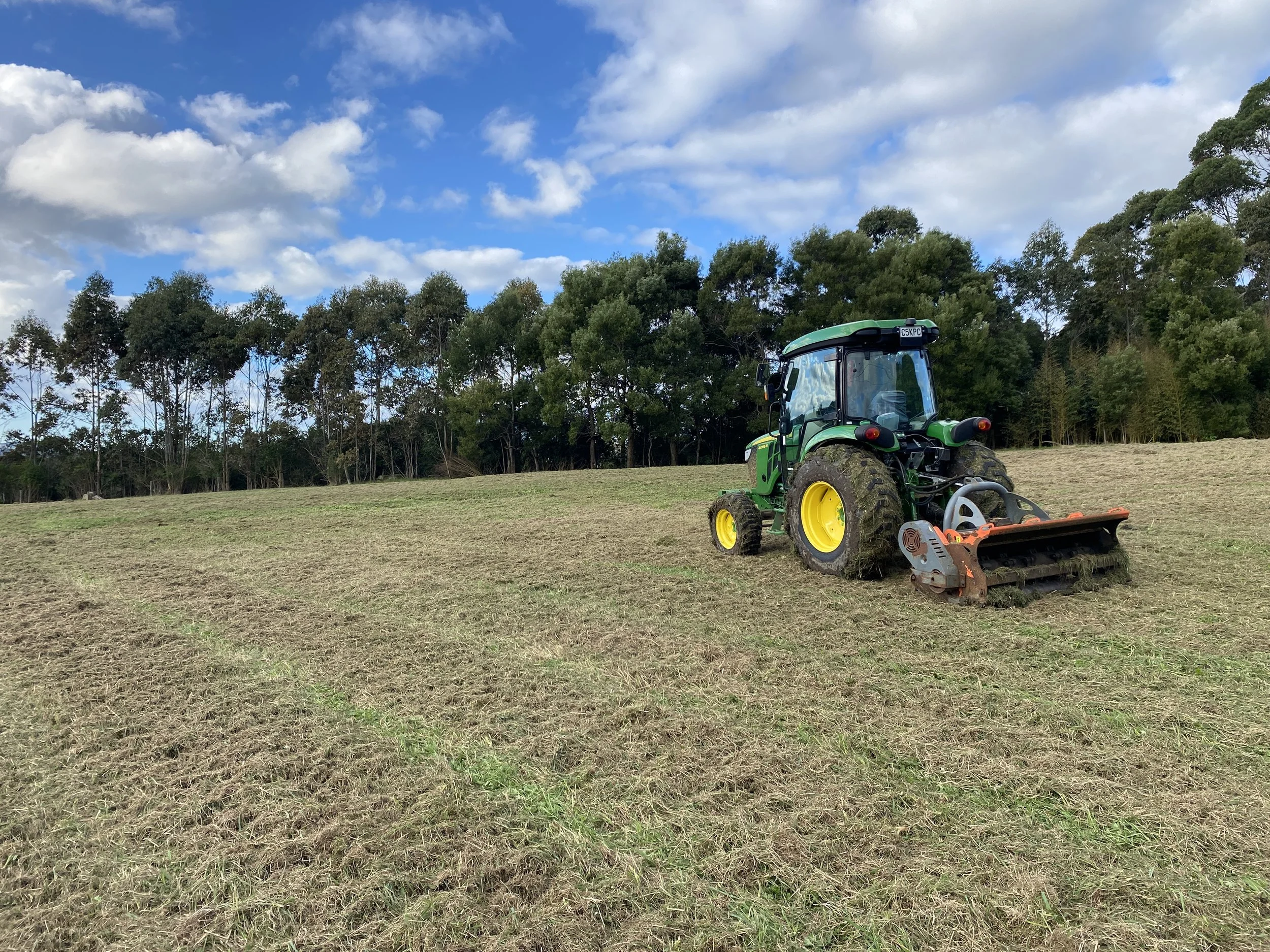 John Deere 4066R Flail mowing a paddock in Matakana