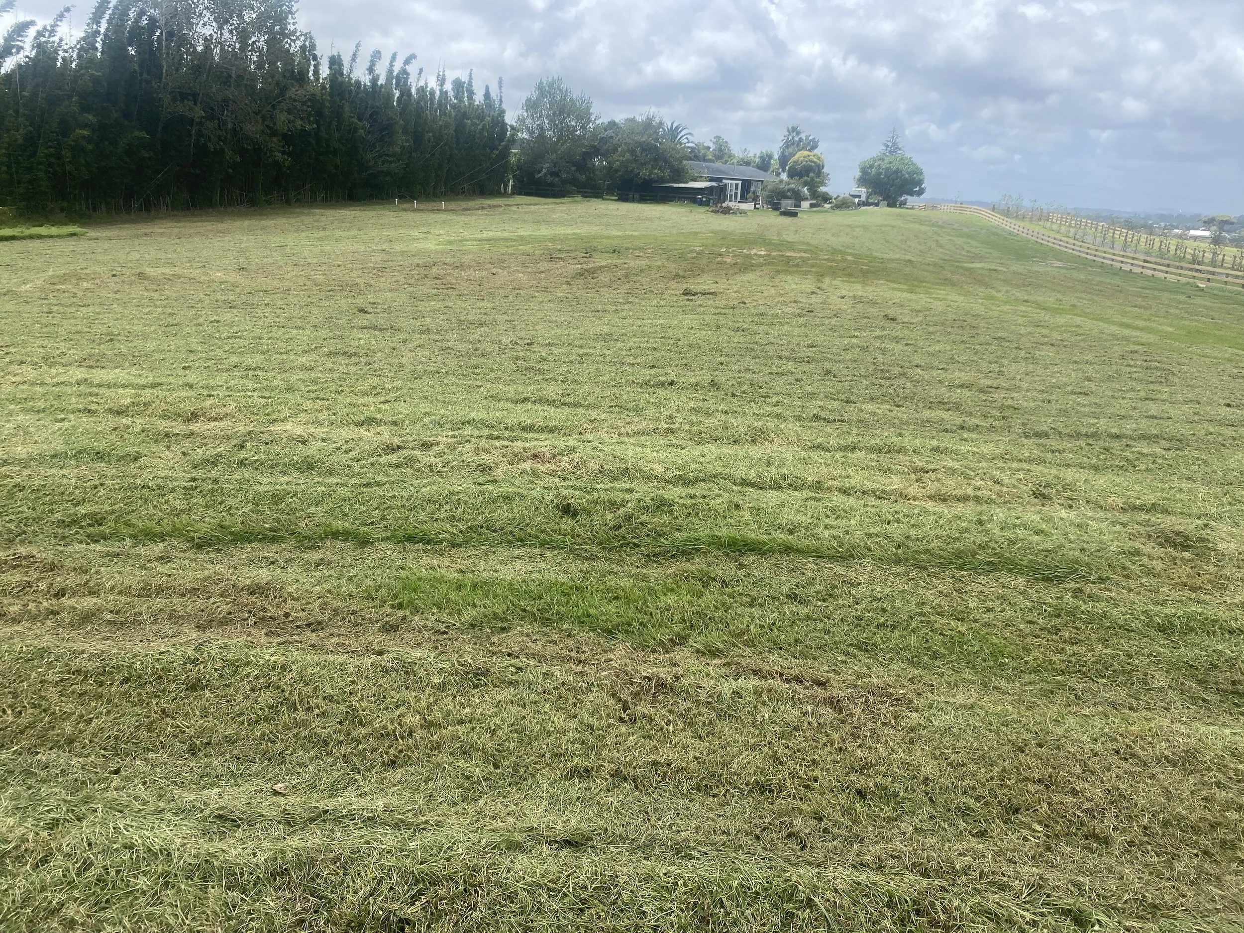1 hectare section mow taupaki