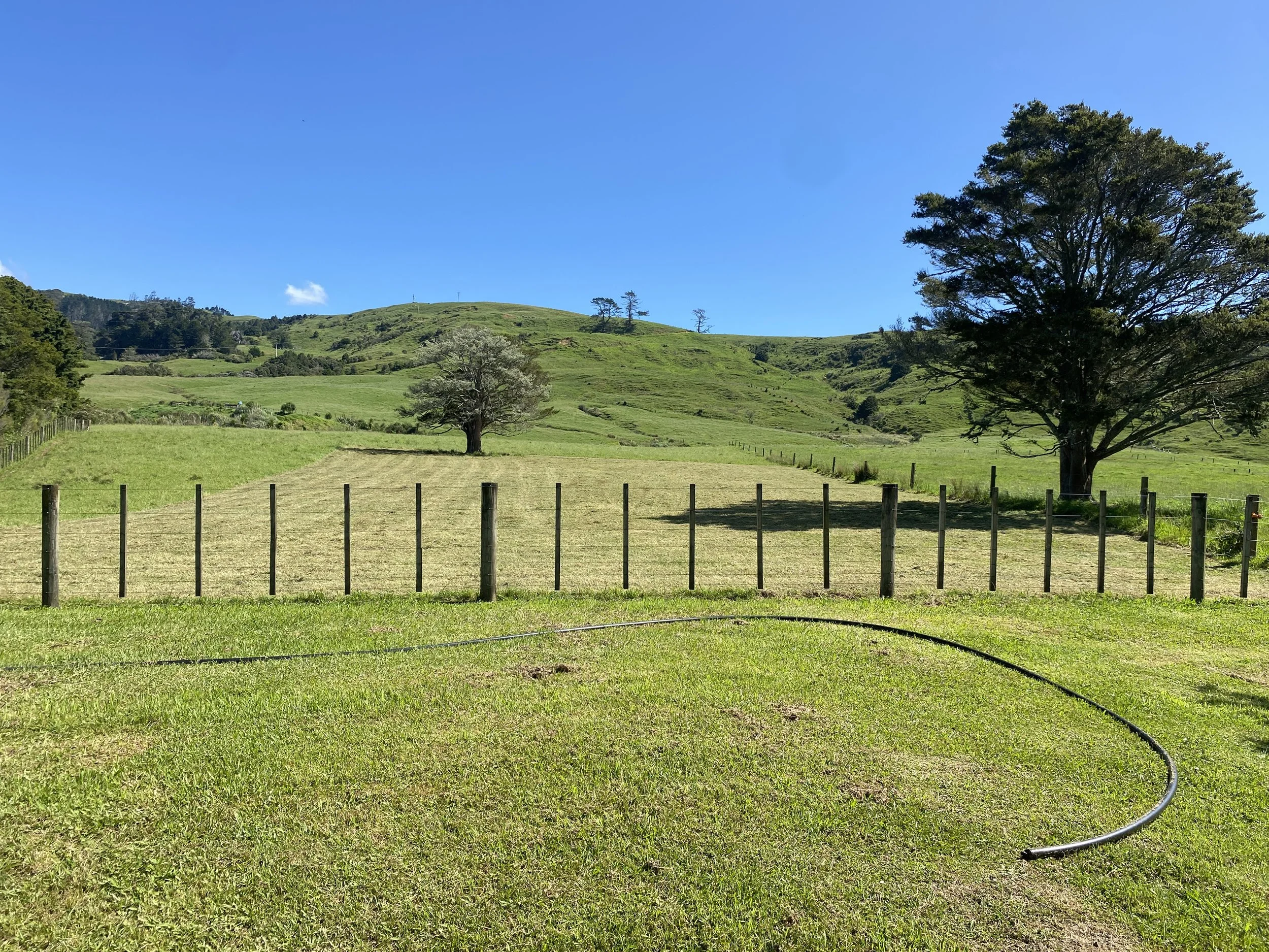 Paddock Mow Whangaripo