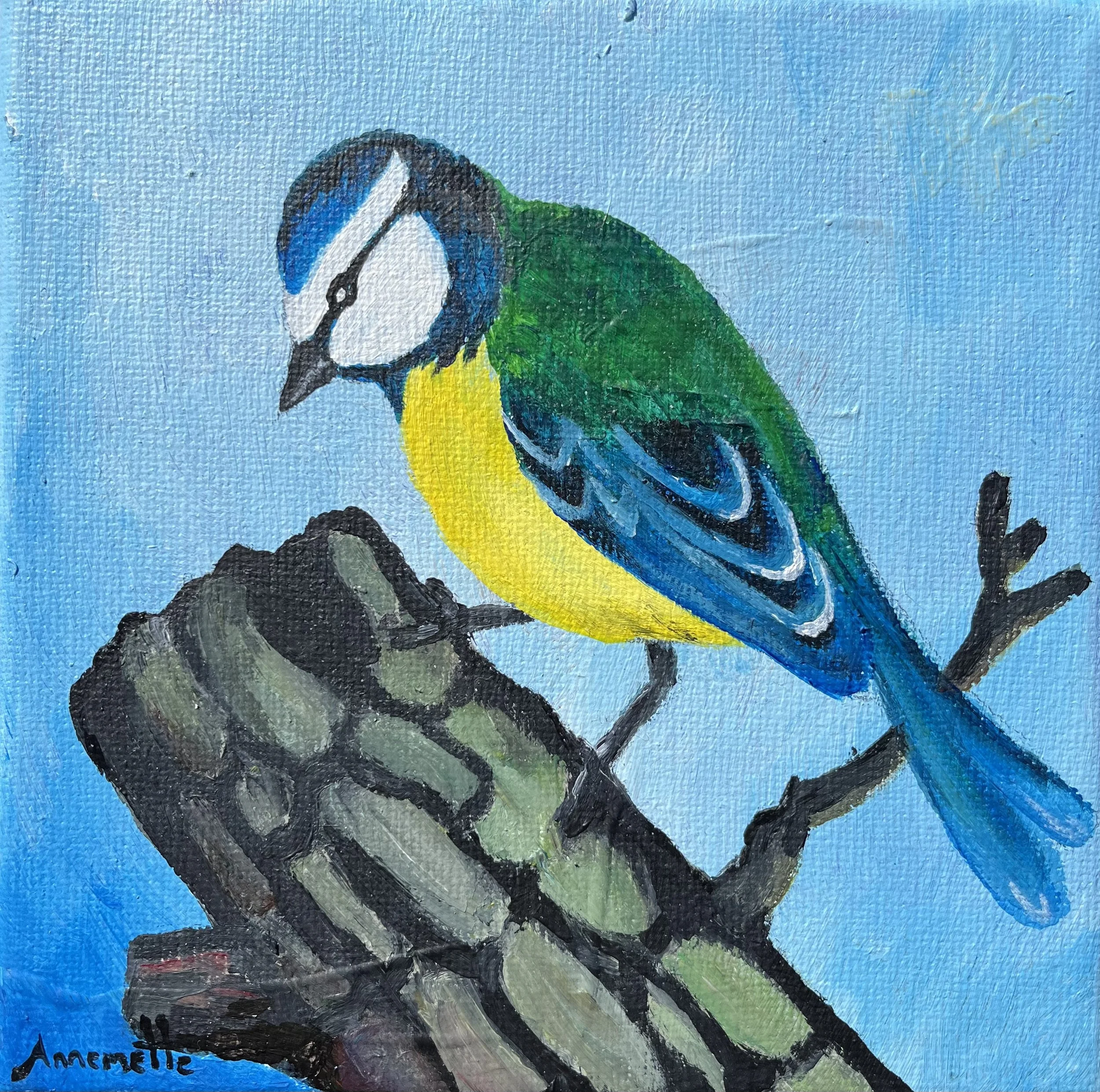 (20x20 cm)