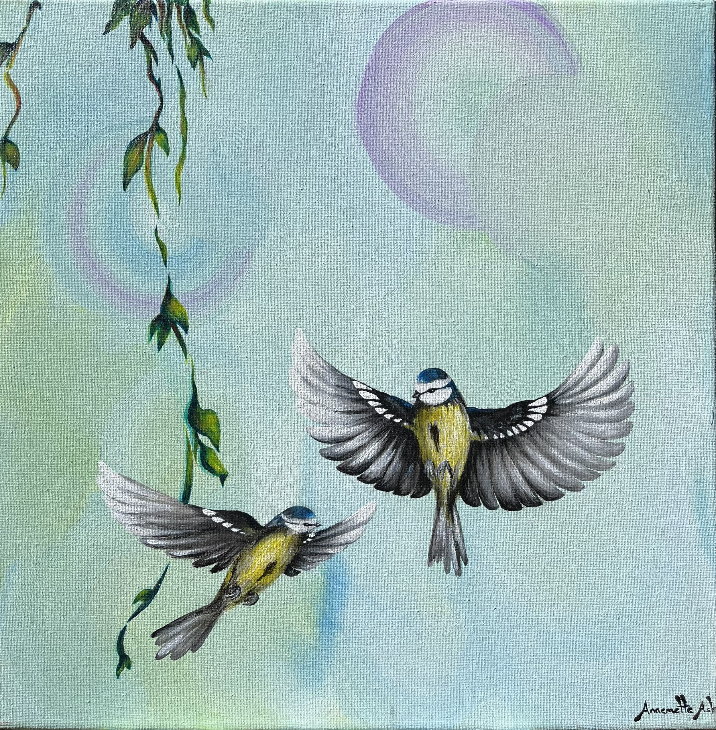 (40x40 cm)