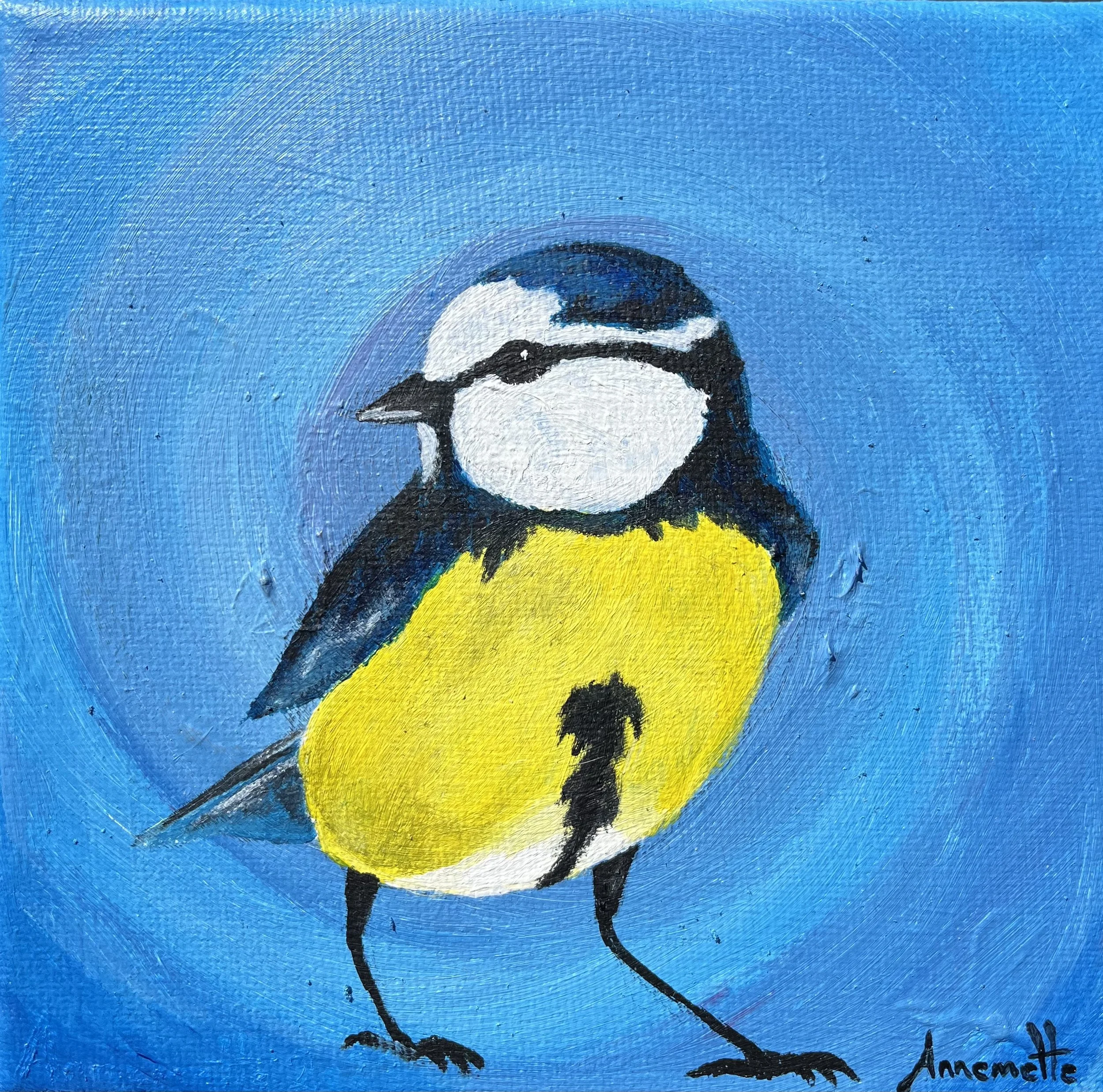 (20x20 cm)