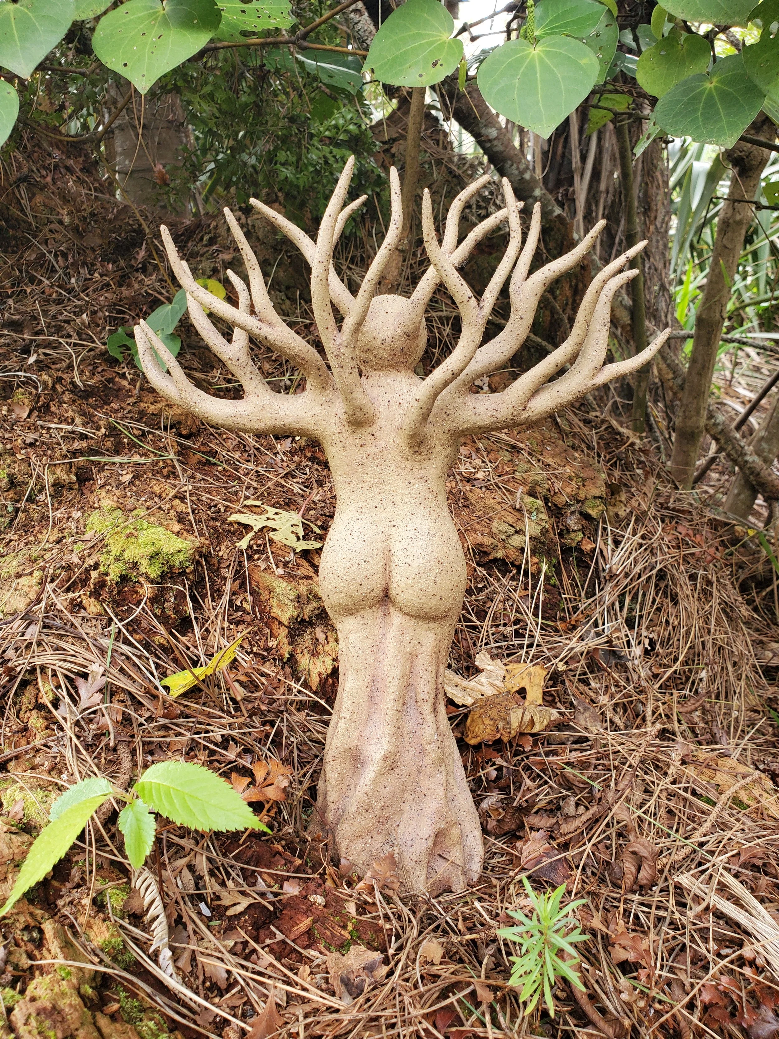 Tree of Life (Back).jpg