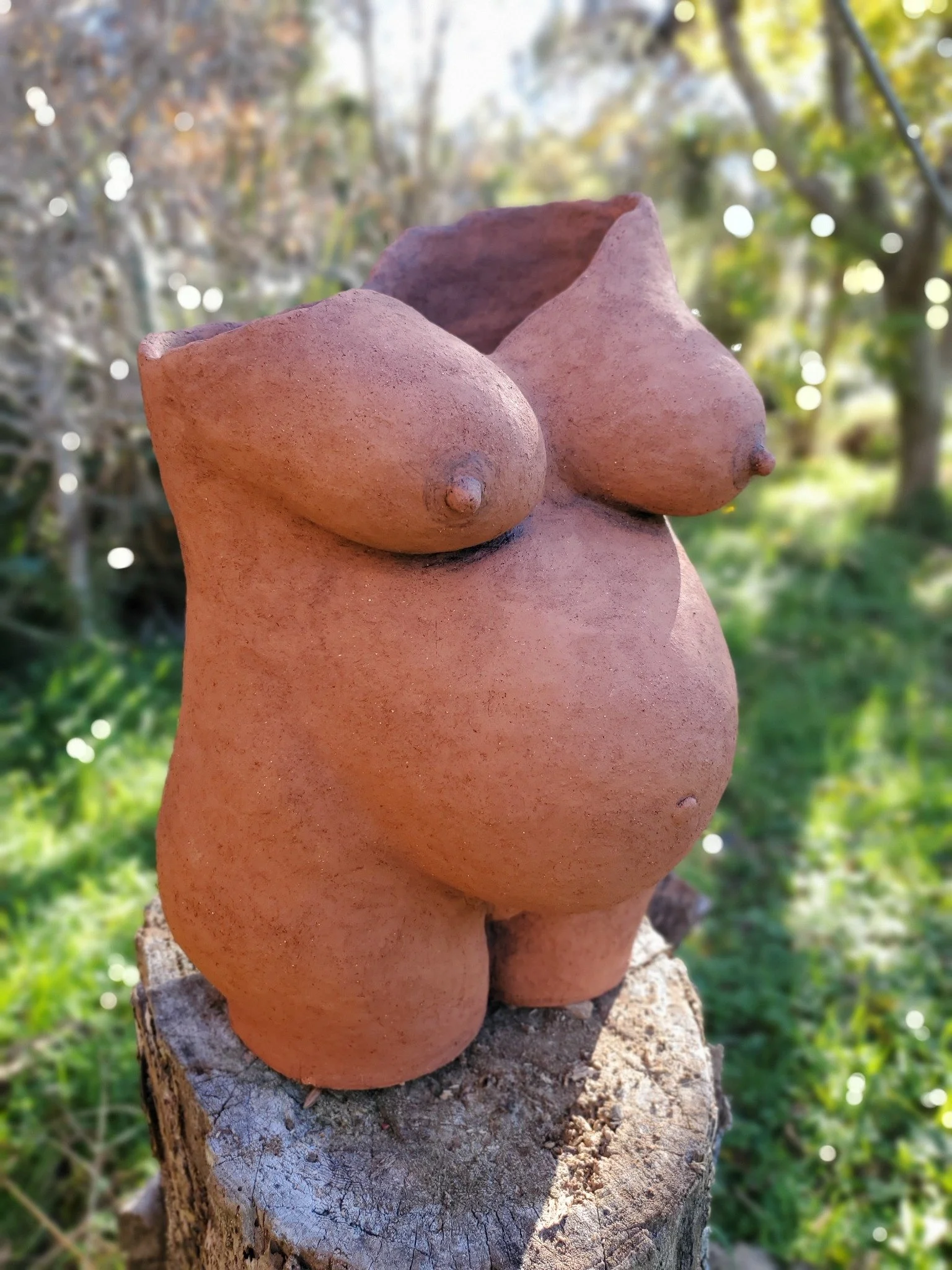 Close-up of a terracotta sculpture of a pregnant female torso, mounted on a tree stump outdoors with blurred green foliage and sunlight in the background.