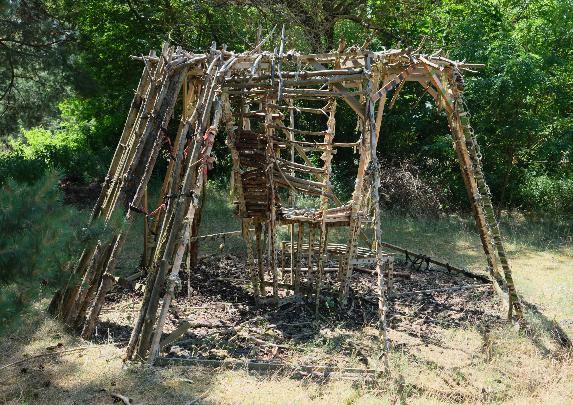 Ein aus Holzstämmen gebautes Baumhaus in einem grünen Wald, unvollständig fertiggestellt.