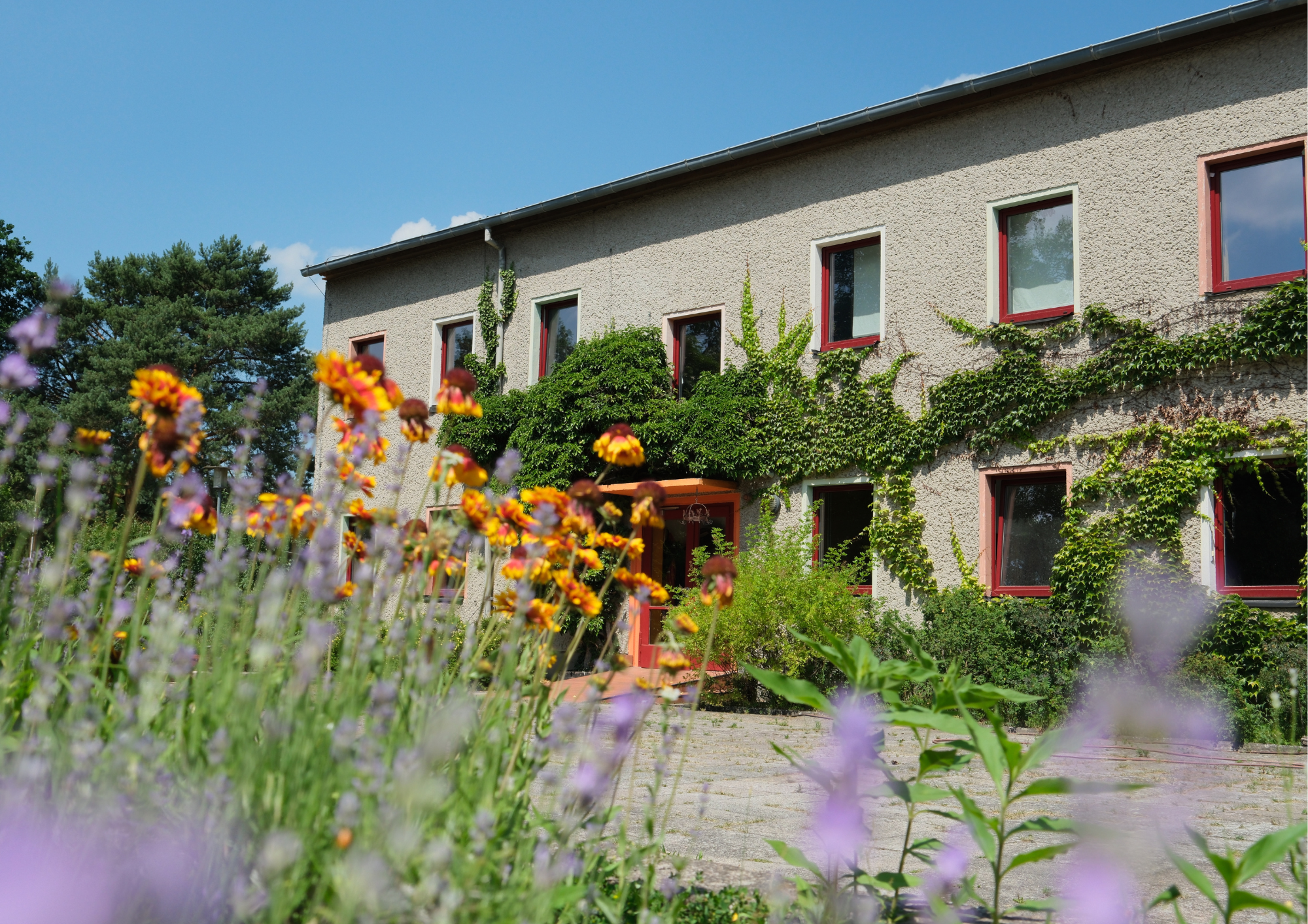 Ein Haus mit einer groben Putzfassade, umgeben von grünen Pflanzen und bunten Blumen im Vordergrund, mit einer blauen Himmel im Hintergrund.