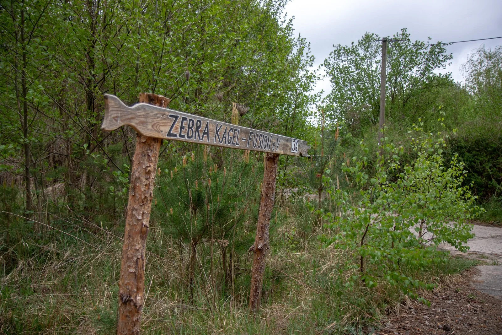 _X8A1203.jpg